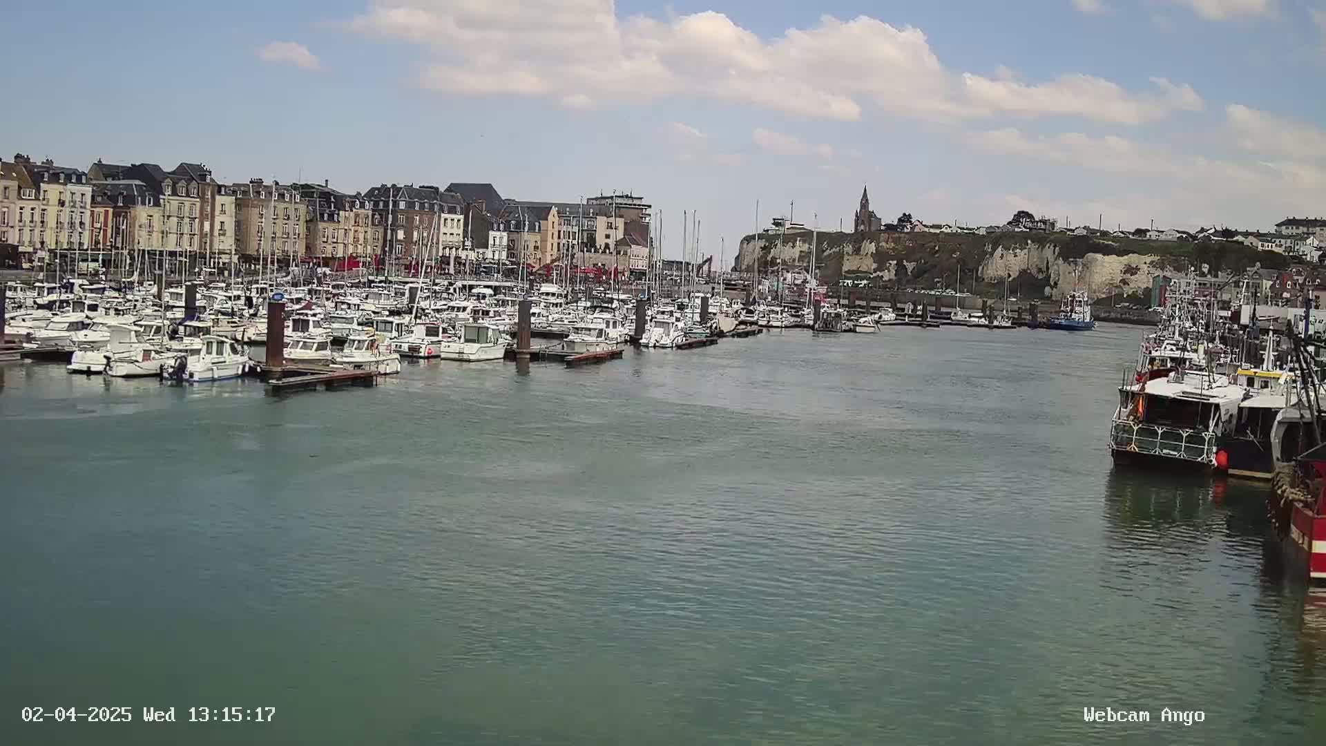 A harbor filled with numerous boats is situated in front of a town under a partly cloudy sky.