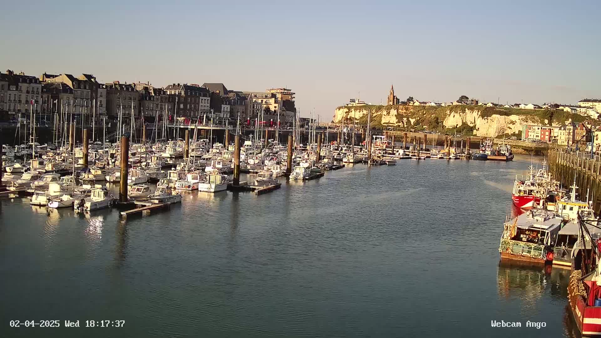 A harbor filled with numerous boats is situated in front of a town built on a cliffside, under a clear, sunny sky.
