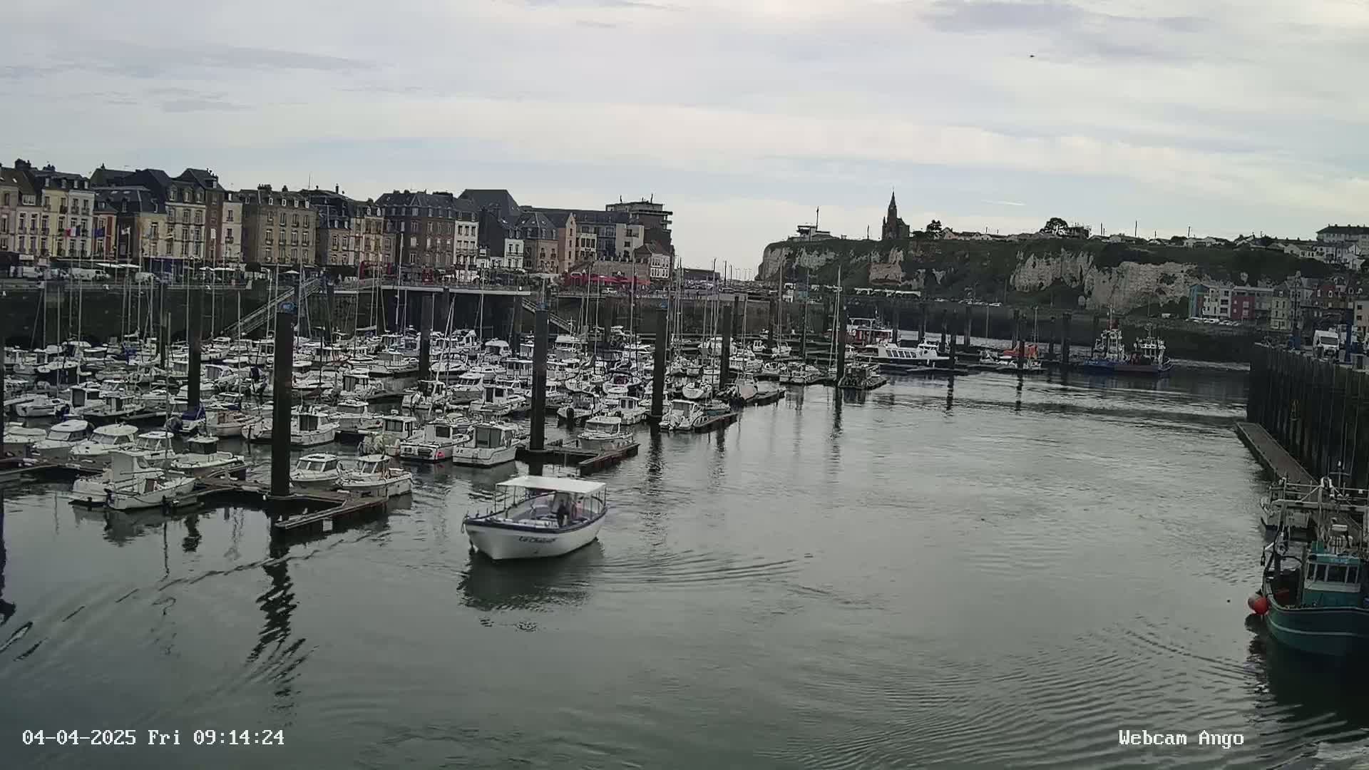 A harbor filled with numerous docked boats is situated in front of a town built along a cliffside under an overcast sky.