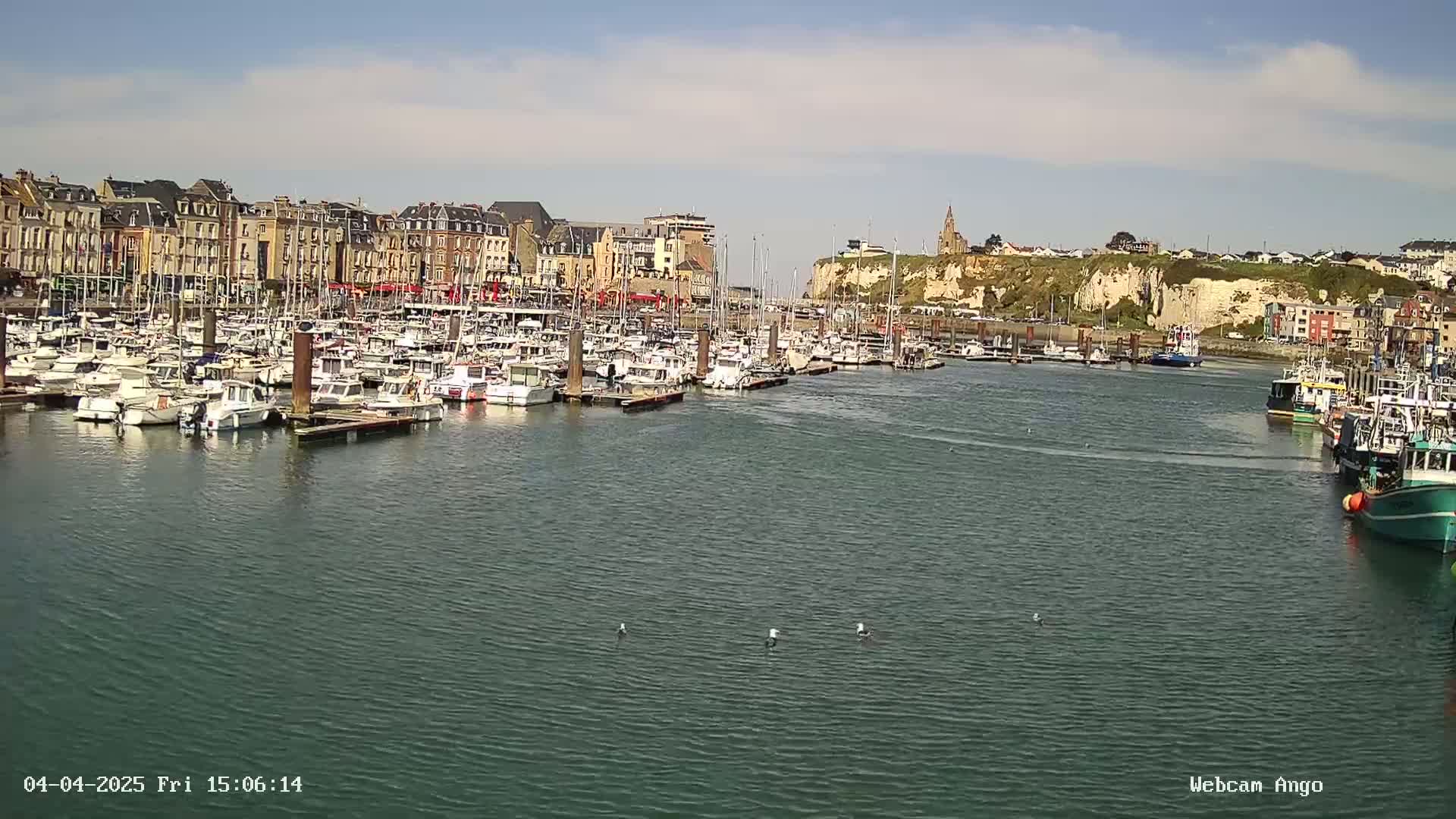 A harbor filled with numerous boats is situated in front of a town built along a cliffside, under a sunny sky.