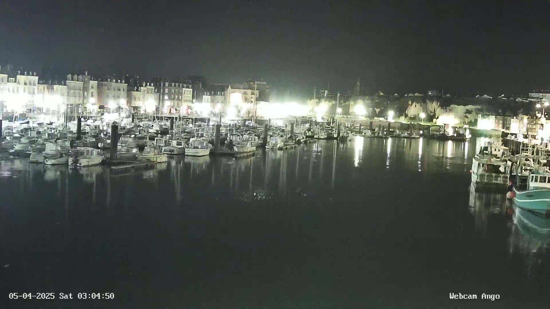 A nighttime view of a harbor filled with many boats docked along a waterfront lined with buildings.