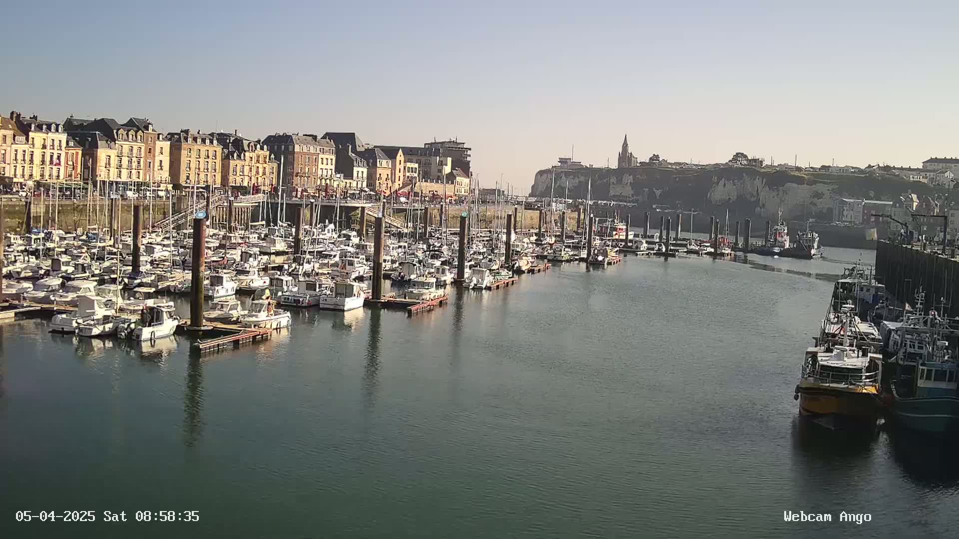 A harbor filled with numerous boats is situated next to a town with buildings lining the waterfront under a sunny sky.