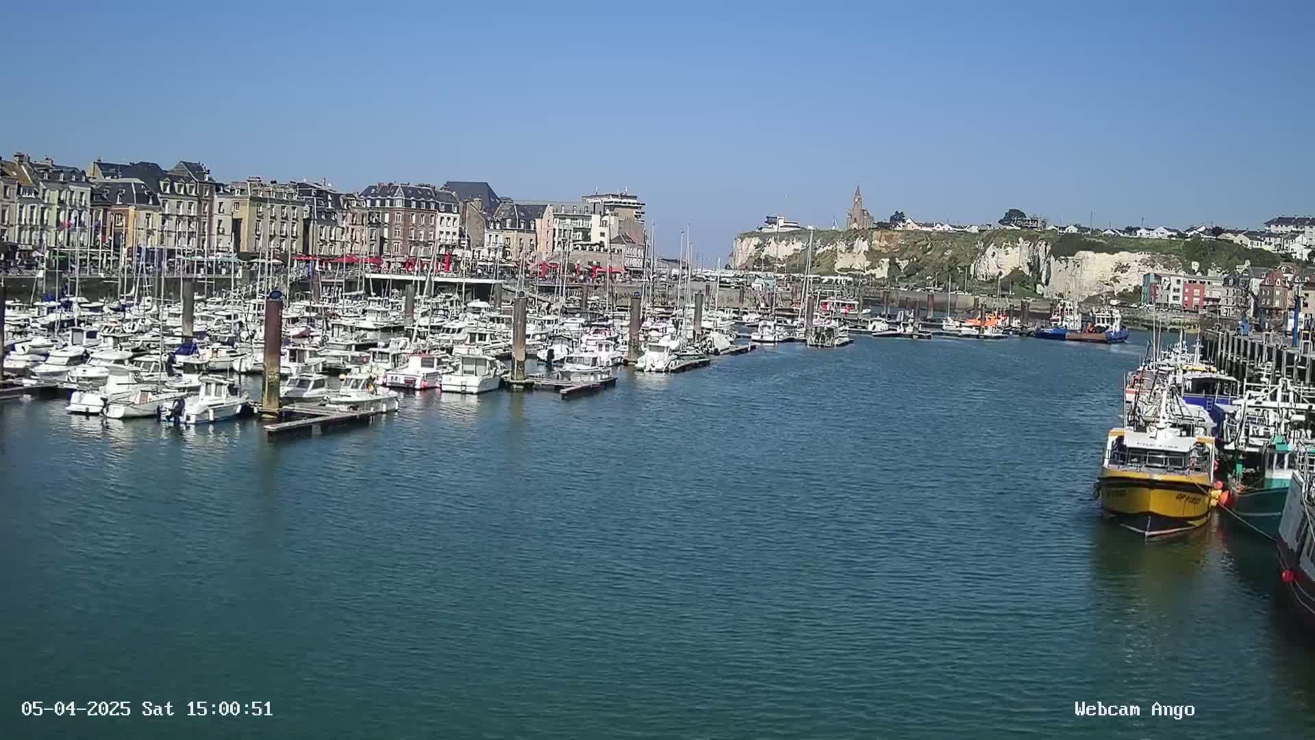 A harbor filled with numerous boats and yachts is situated in front of a town with buildings lining the waterfront, under a clear sunny sky.