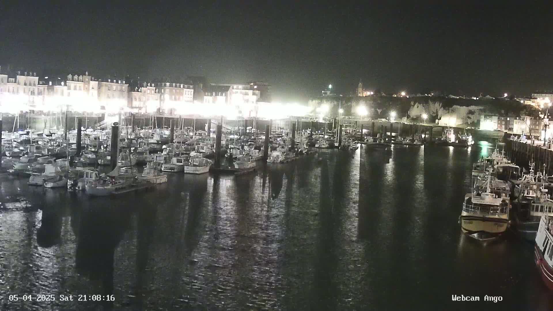 A nighttime view of a harbor filled with numerous boats docked along a waterfront lined with buildings.