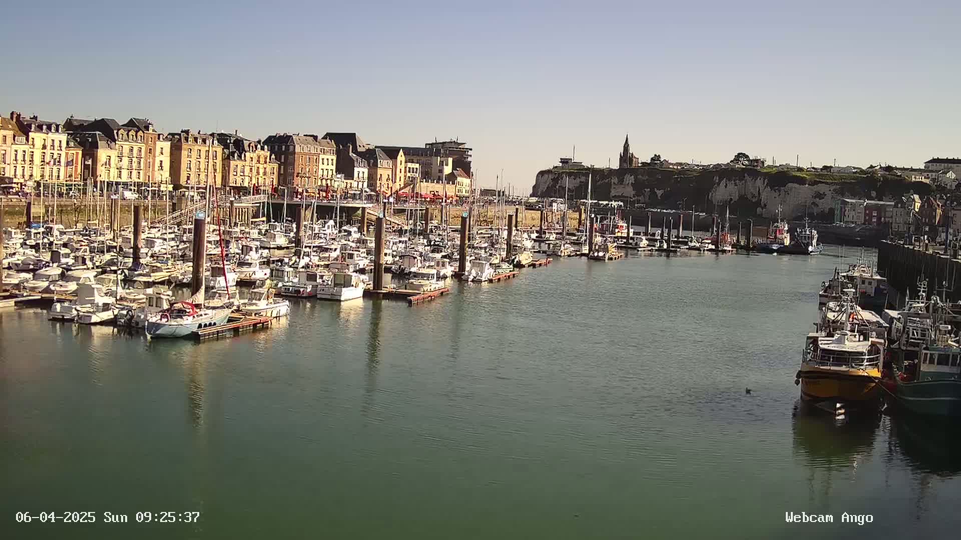 A marina filled with numerous boats is situated in front of a town with multi-story buildings under a clear, sunny sky.