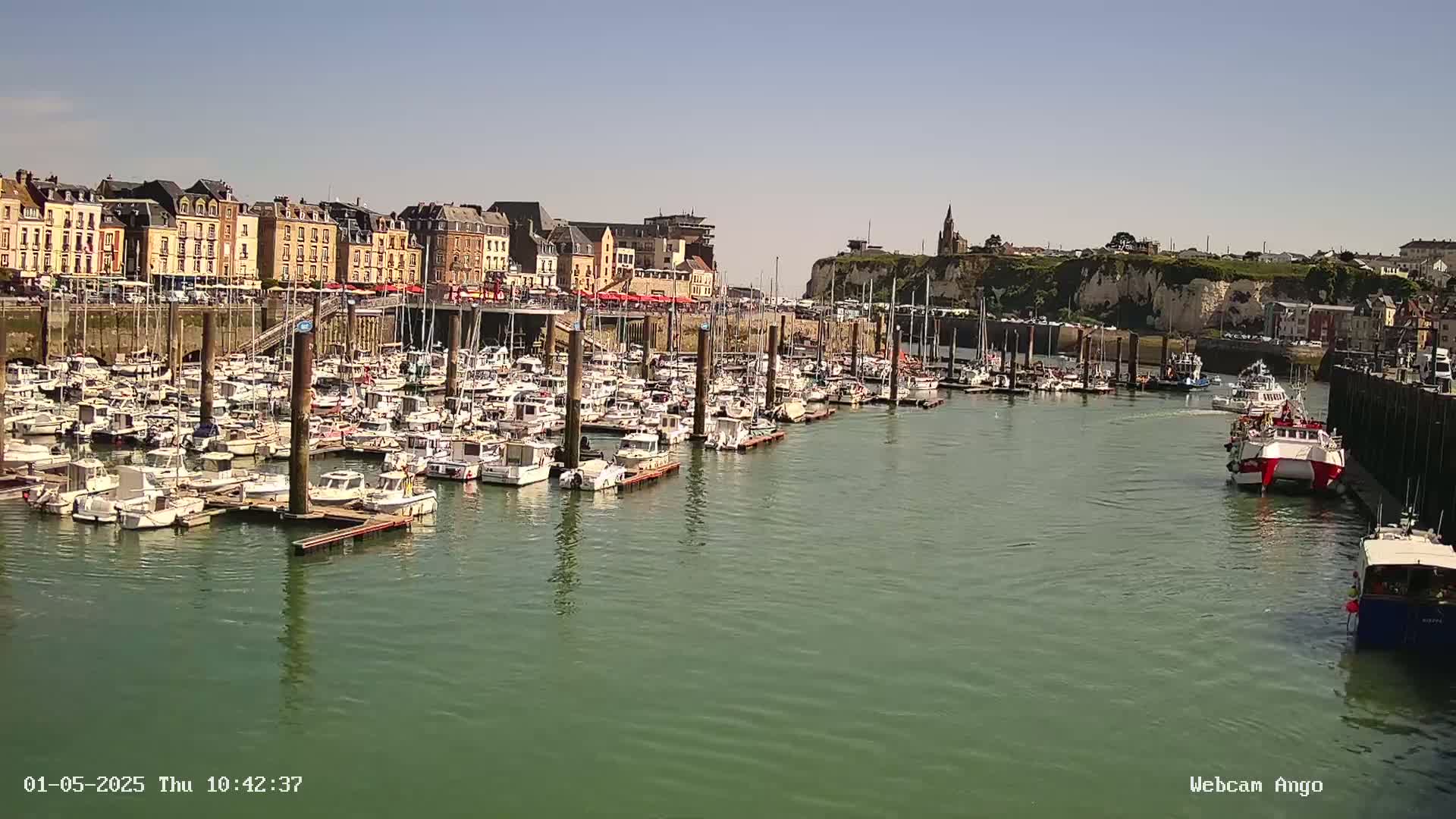 A harbor filled with many docked sailboats is situated in front of a town under a clear sky.