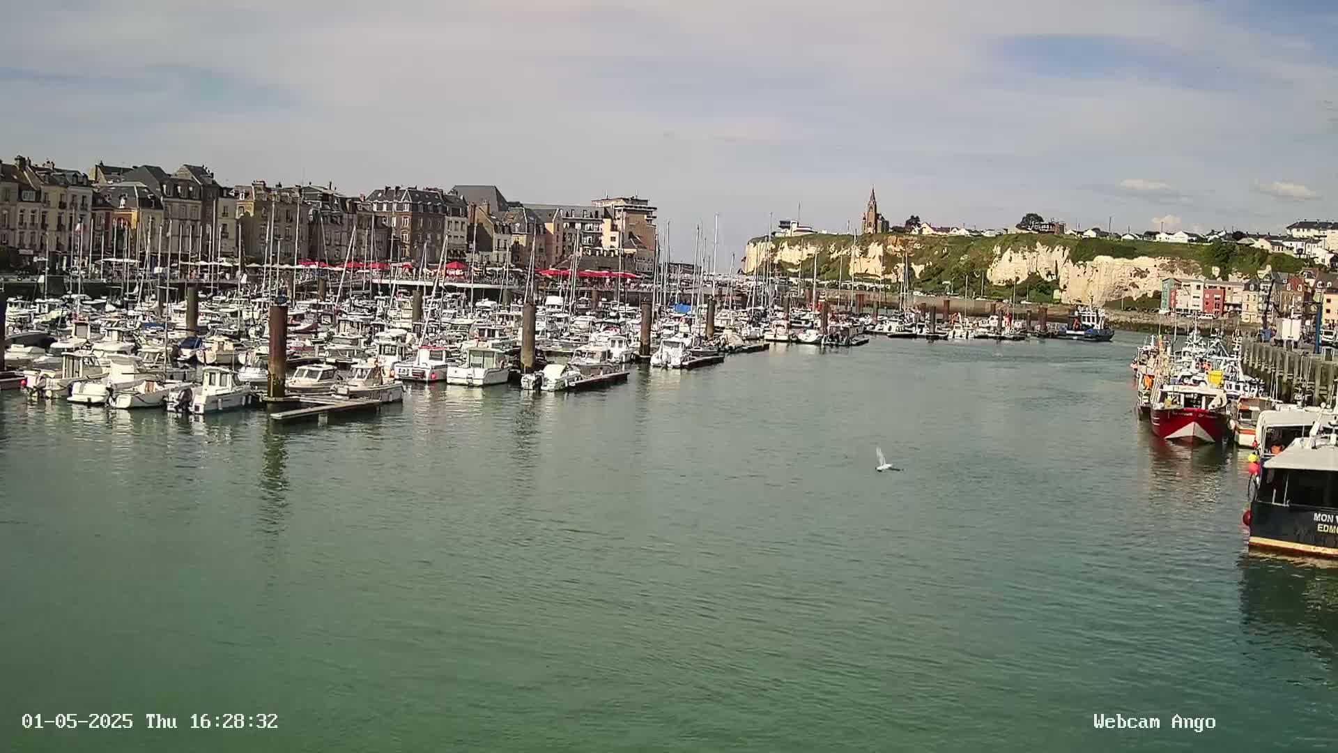 A harbor filled with numerous boats is situated in front of a town with buildings lining the waterfront, all under a partly cloudy sky.