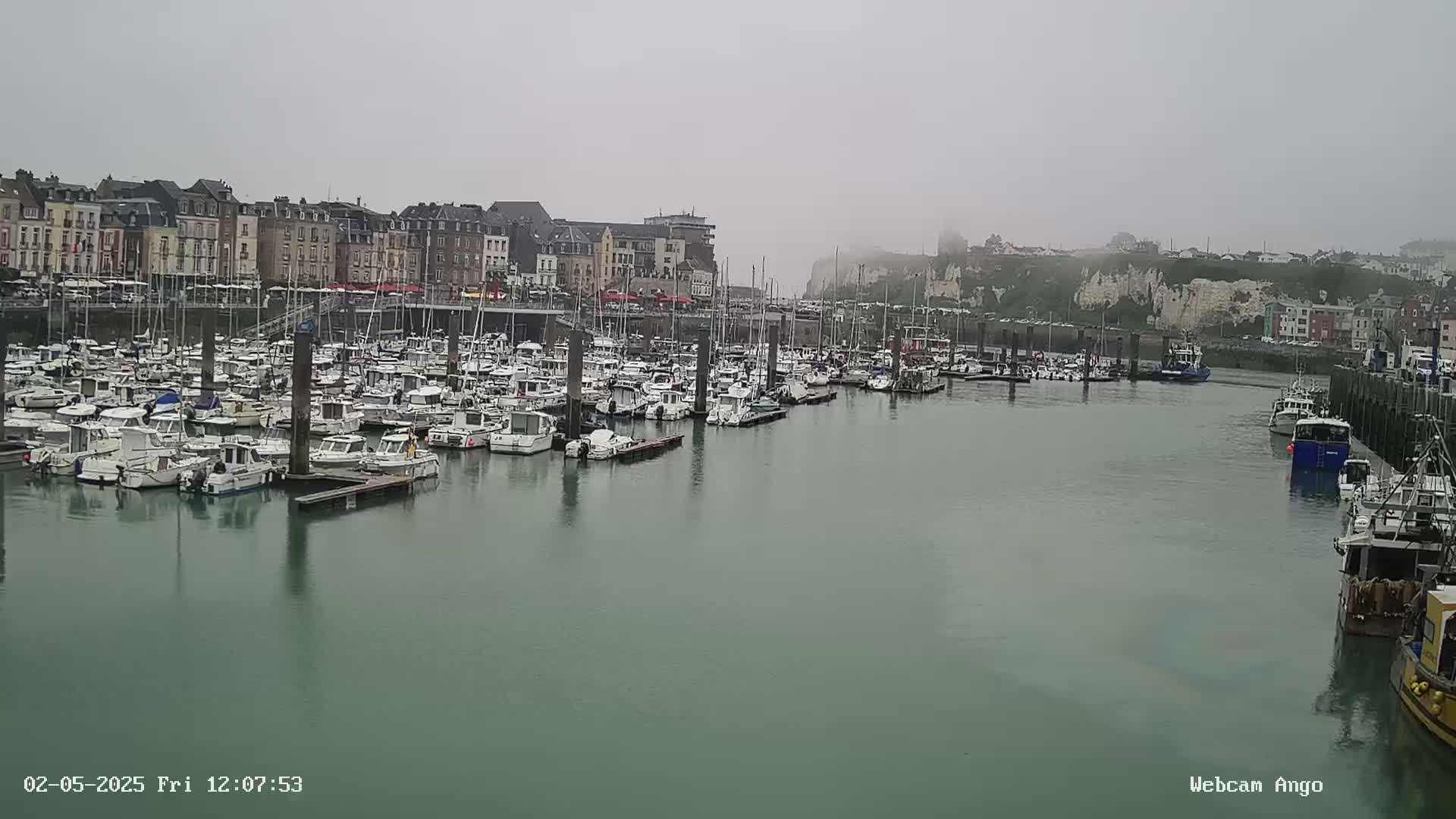 A harbor filled with numerous boats is seen on an overcast day, with a town and cliffs in the background.