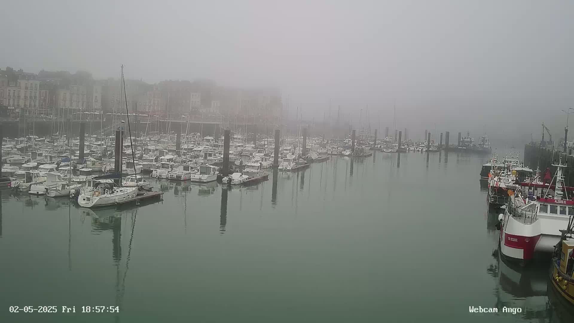 A harbor filled with numerous boats is shrouded in thick fog.