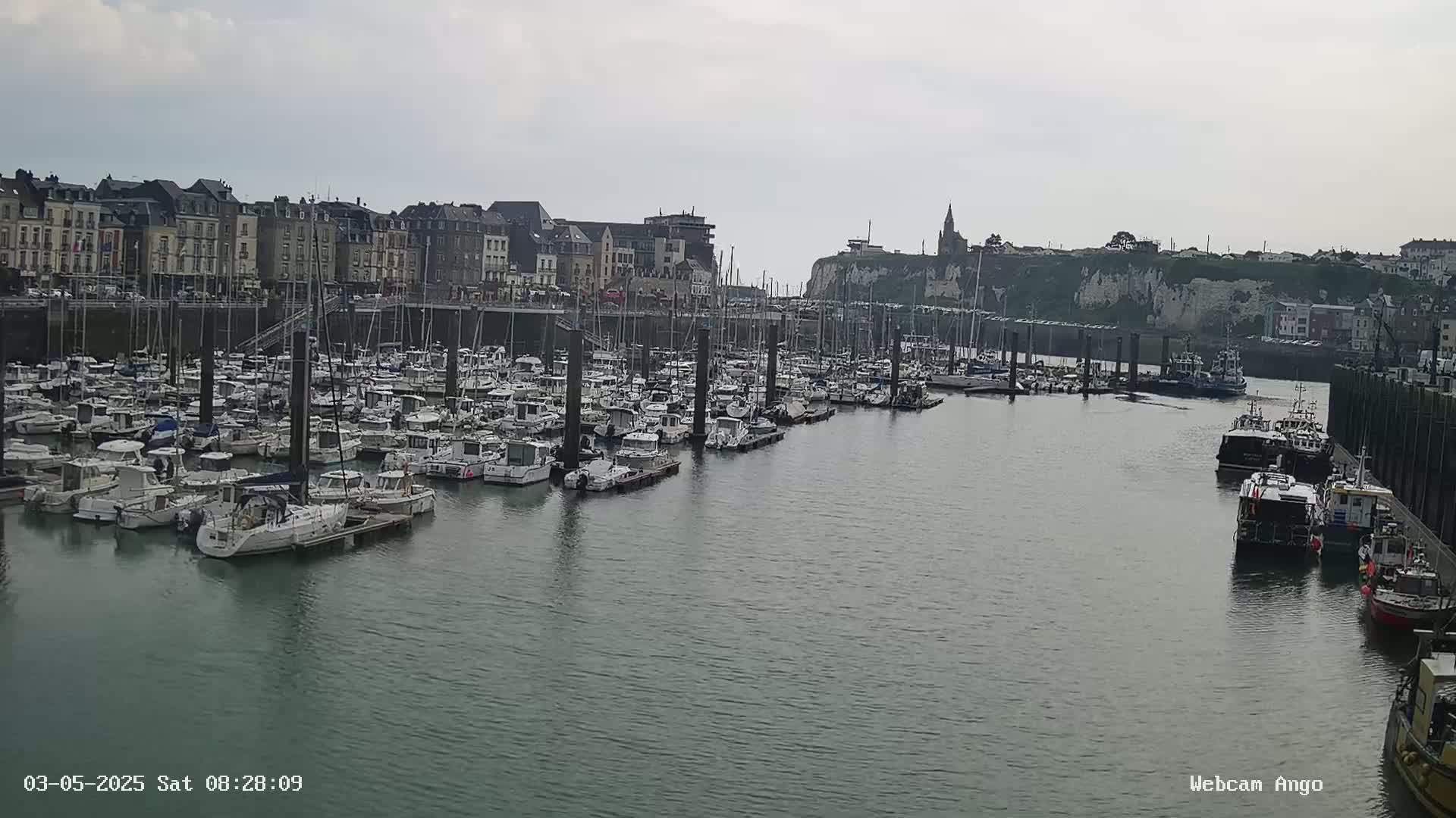 A harbor filled with numerous boats is situated in front of a town built along a cliffside, under an overcast sky.