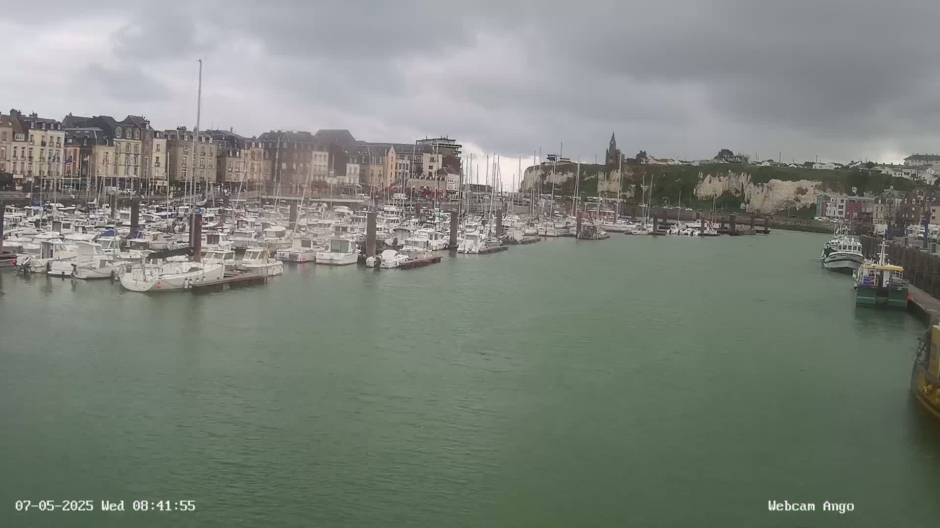 A harbor filled with numerous boats is situated in front of a row of buildings under an overcast sky.
