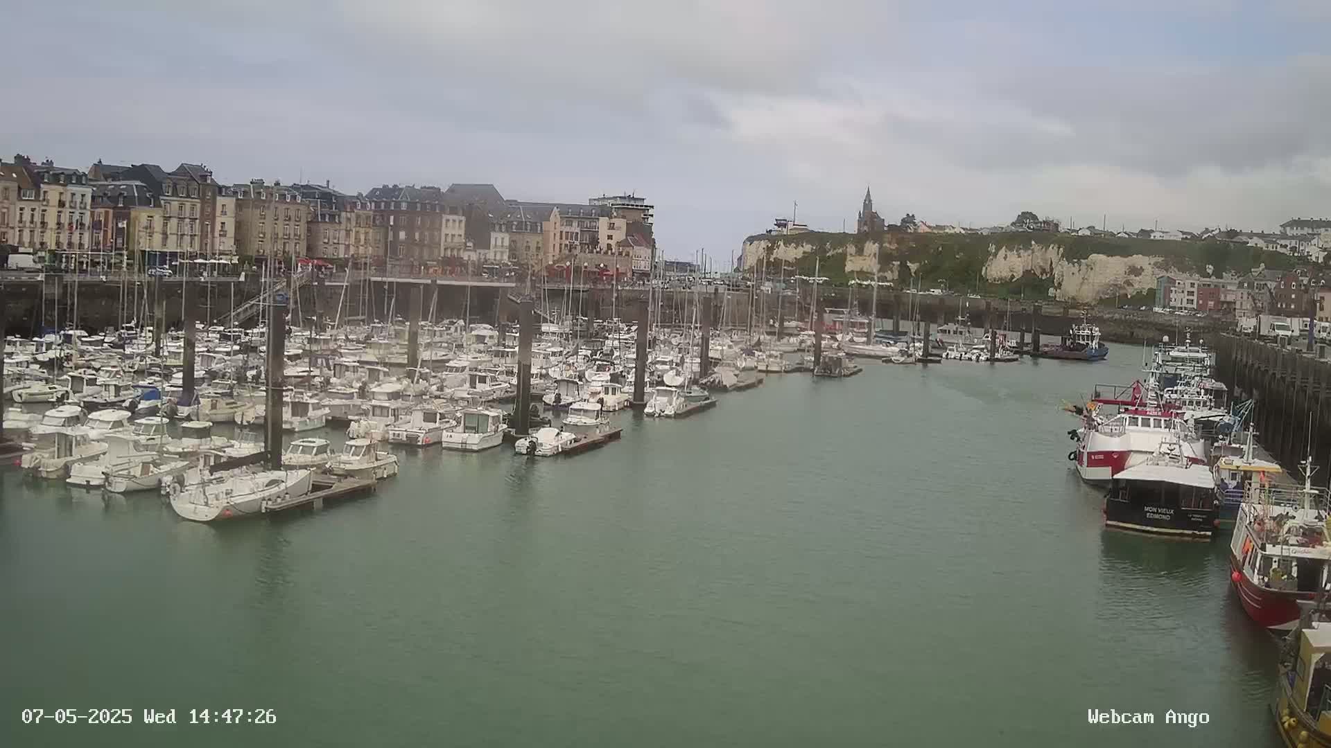 A harbor filled with numerous boats is nestled beside a town of multi-story buildings and white cliffs under an overcast sky.