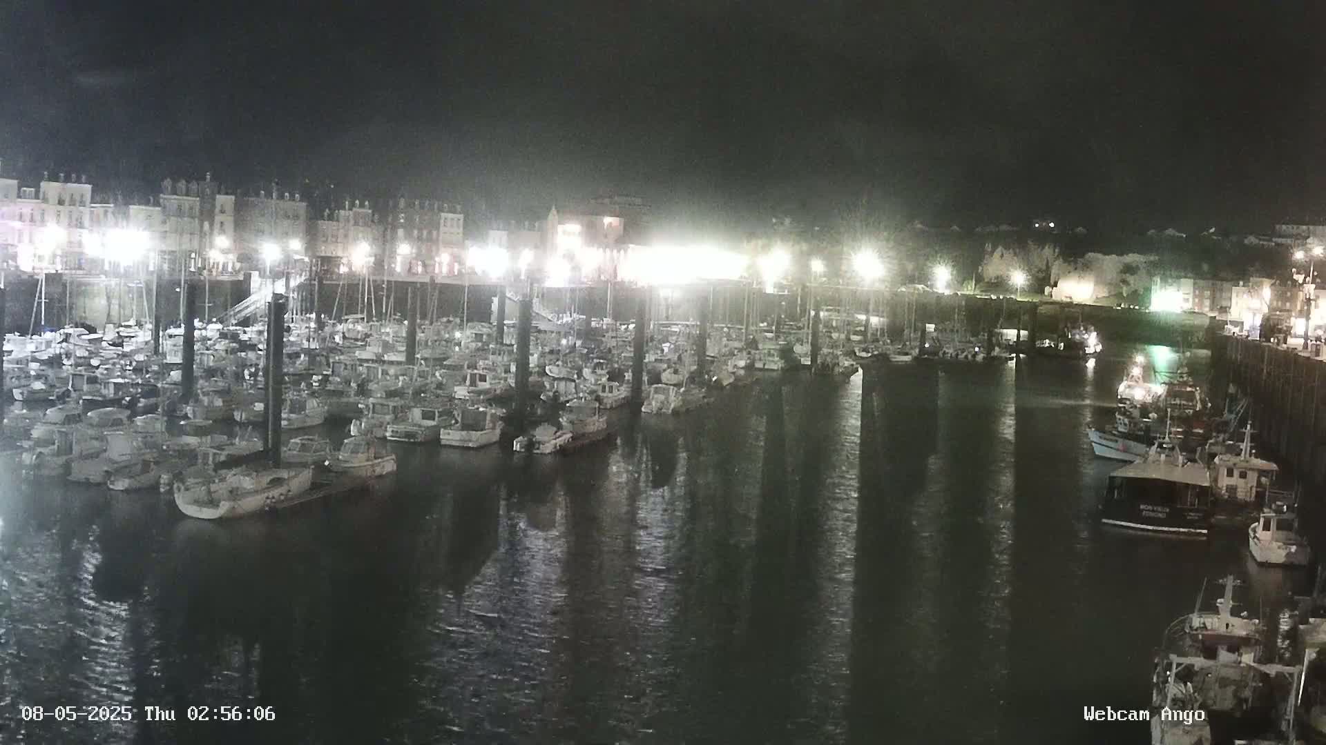 Many boats are docked at a marina at night under a dark sky.