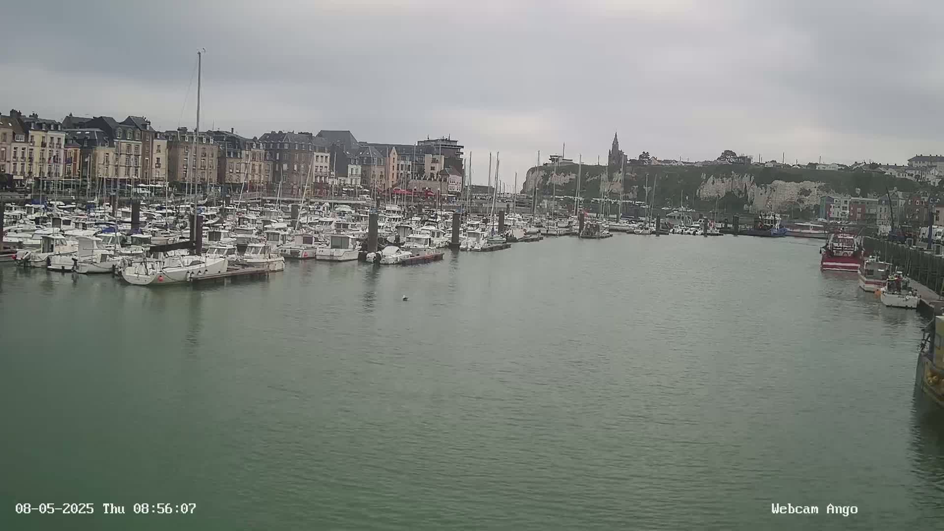 A marina filled with numerous boats is situated in front of a town with buildings lining the waterfront under an overcast sky.