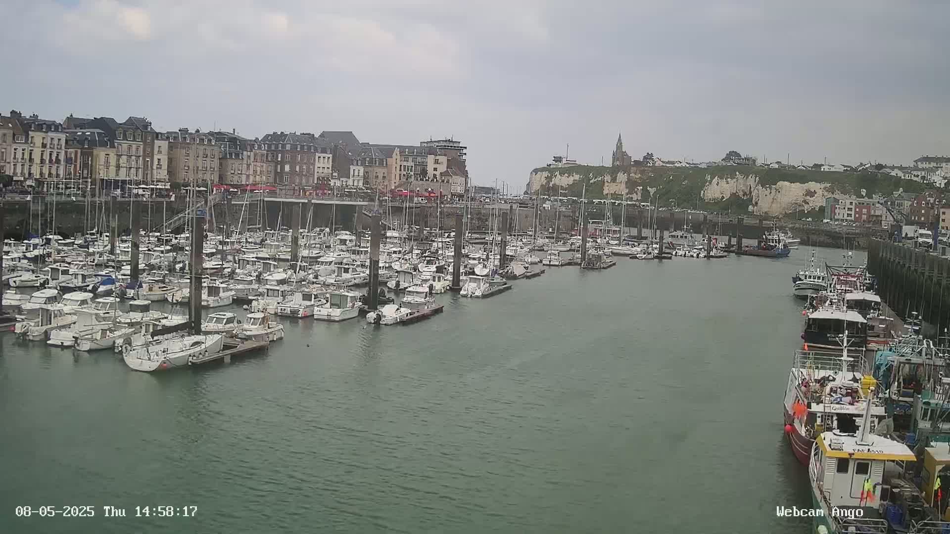 A harbor filled with numerous boats and yachts is situated in front of a town with multi-story buildings under an overcast sky.