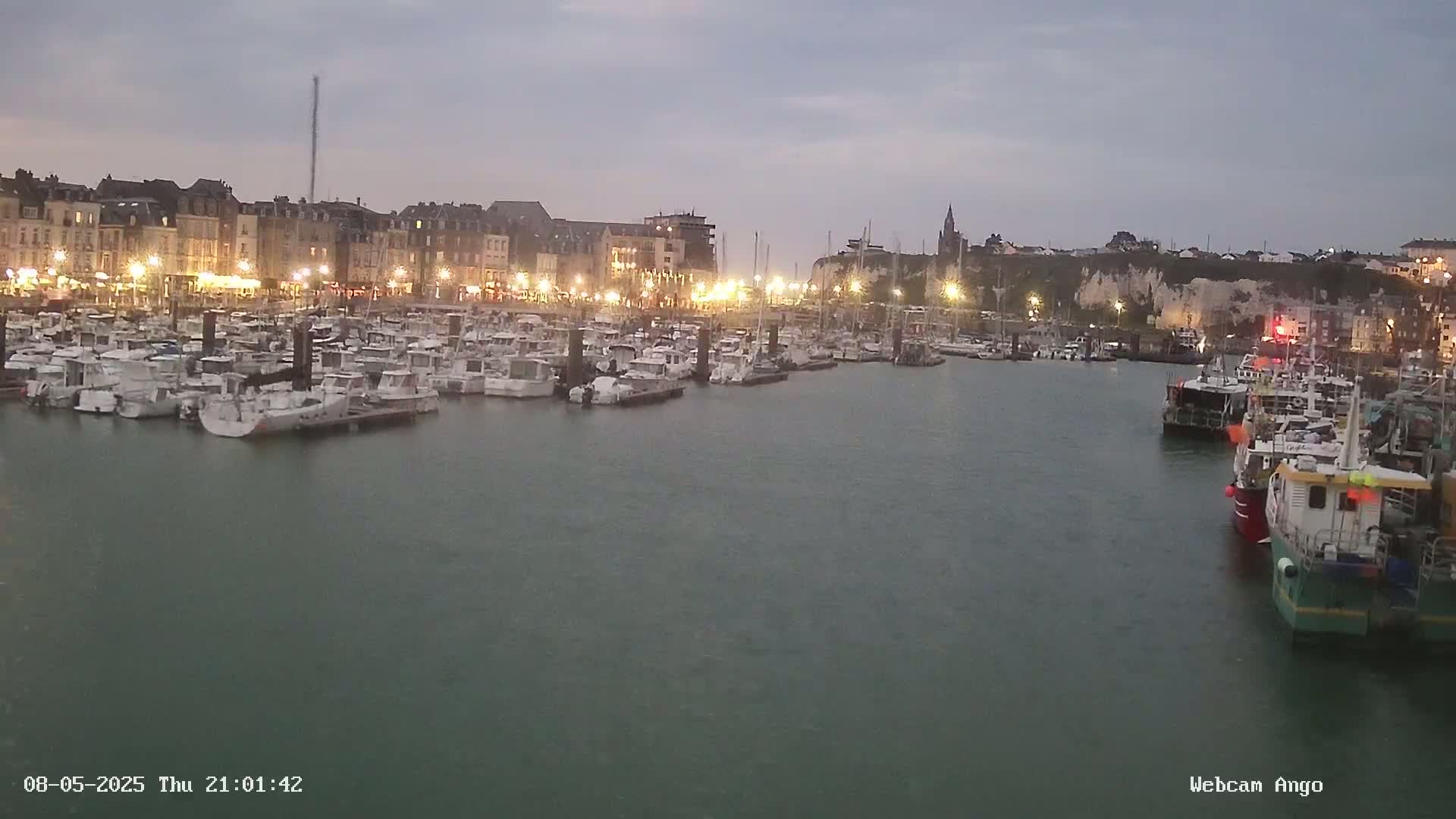 A harbor filled with numerous boats is illuminated at night under a dusky sky.