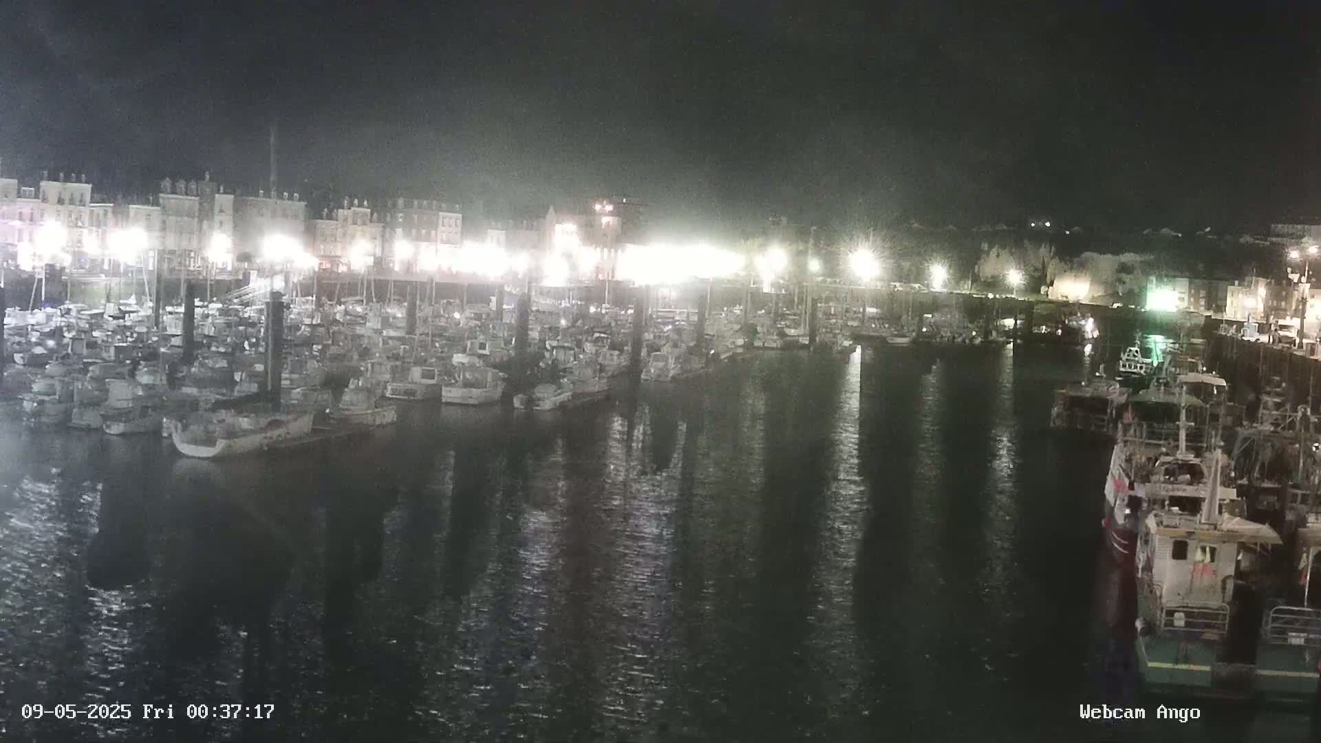 Many boats are docked at a harbor at night, with lights illuminating the waterfront buildings.