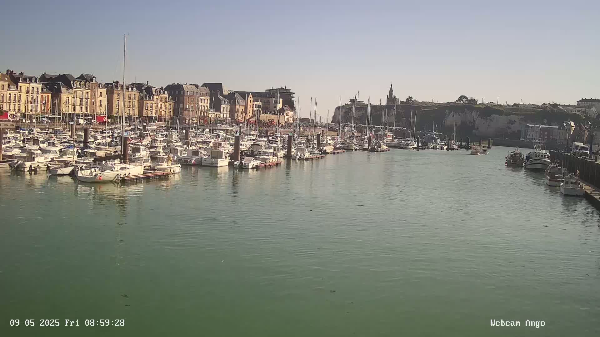 A harbor filled with numerous boats is situated next to a town under a clear sky.