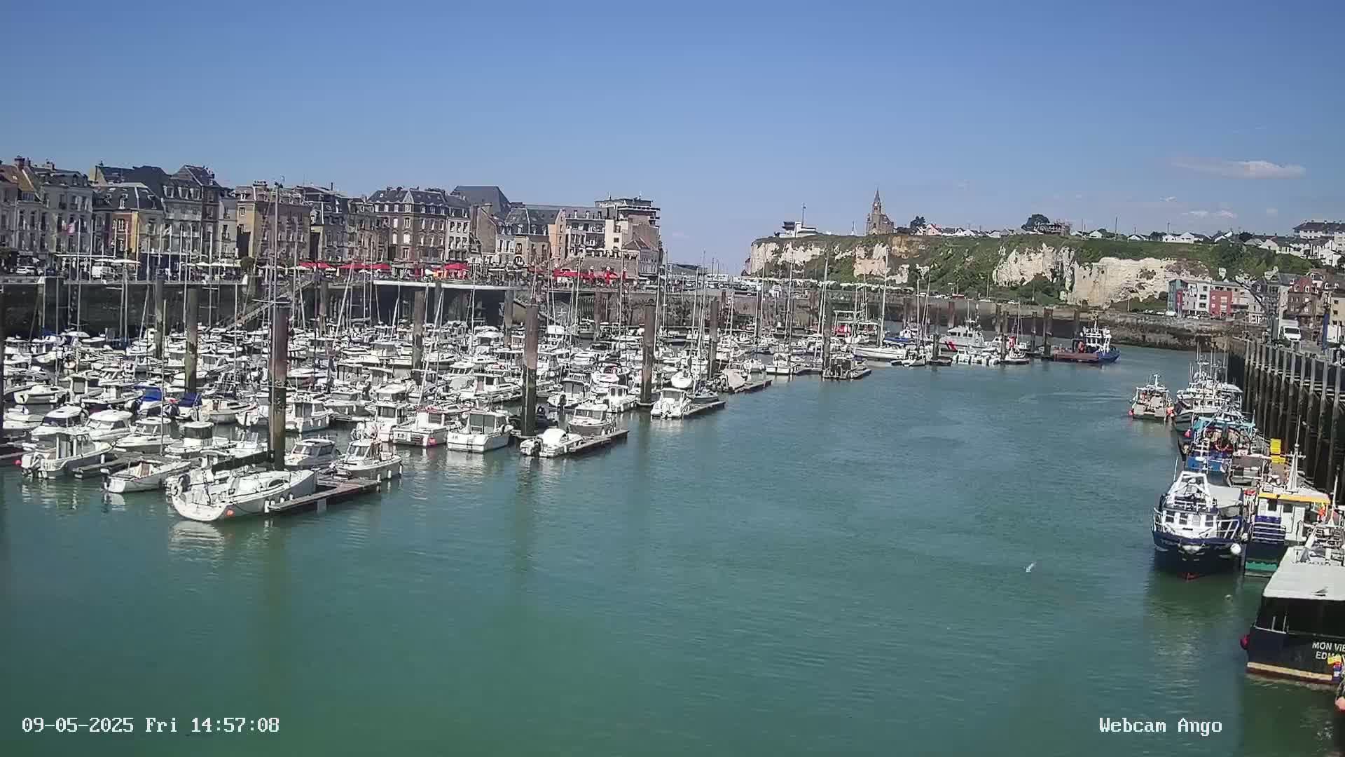 A marina filled with numerous boats is situated in front of a town with buildings lining the waterfront under a clear, sunny sky.