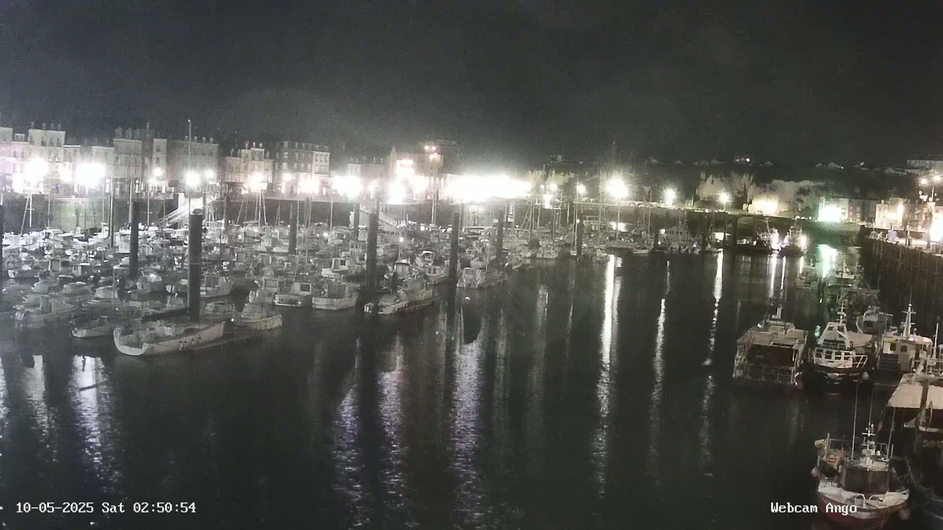 A nighttime view of a harbor filled with numerous boats, docked alongside a waterfront lined with buildings.