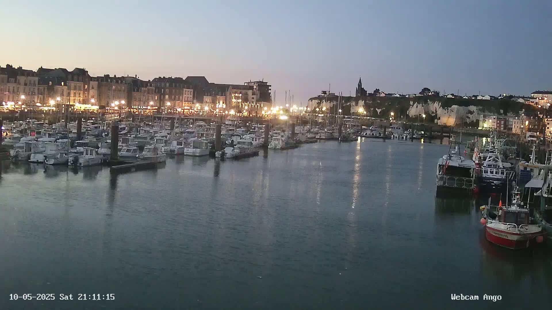 A harbor filled with numerous boats is situated in front of a town under a twilight sky.