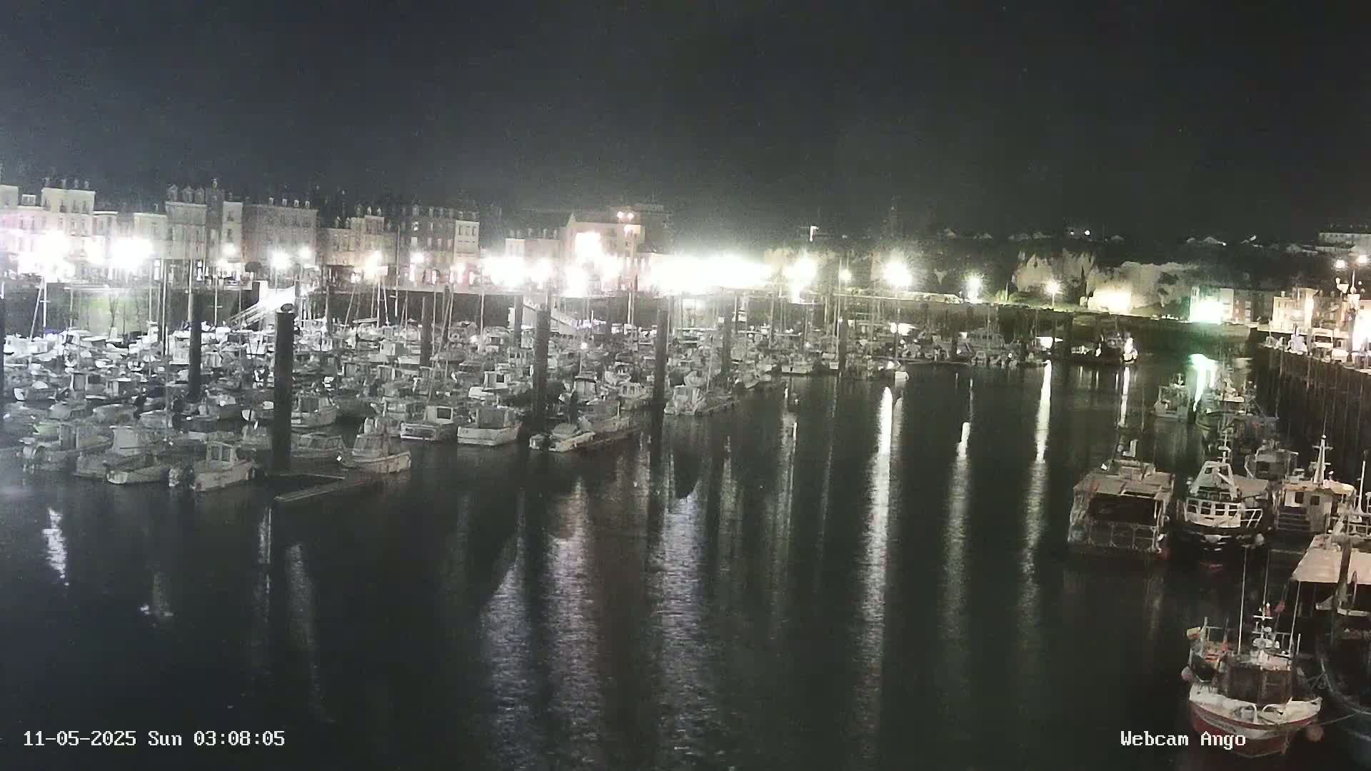 Many boats are moored in a harbor at night, their reflections visible in the calm water.