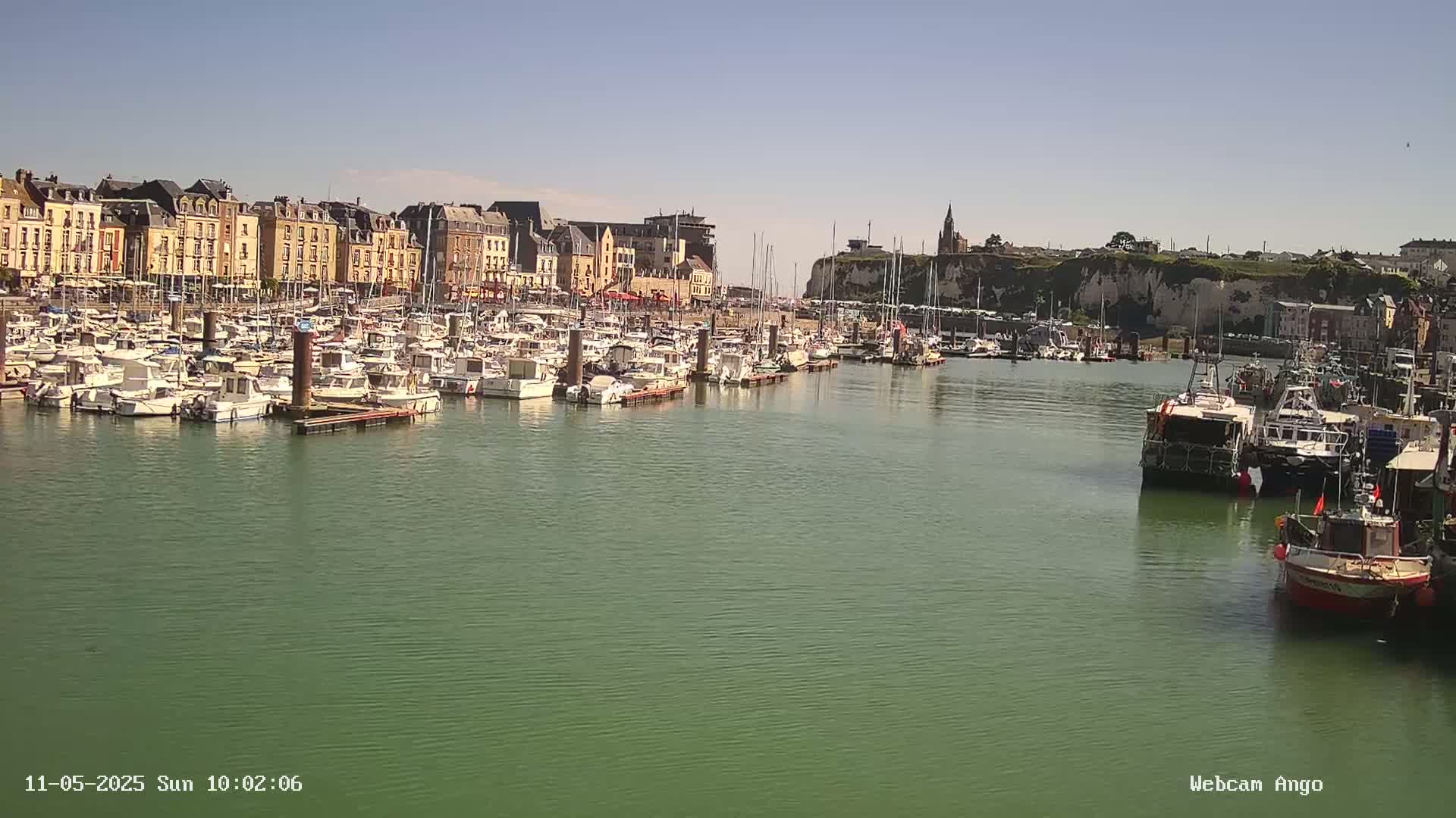 A harbor filled with numerous boats and yachts is situated in front of a town with multi-story buildings under a clear, sunny sky.