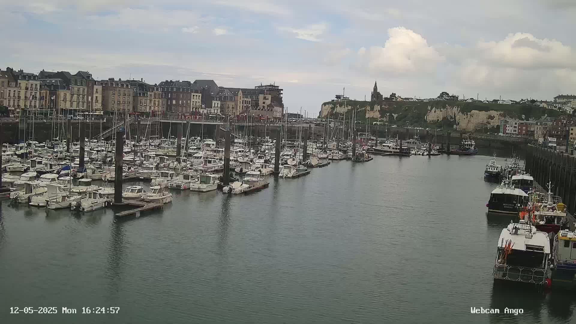 A harbor filled with numerous boats and yachts is situated in front of a town with multi-story buildings under a cloudy sky.
