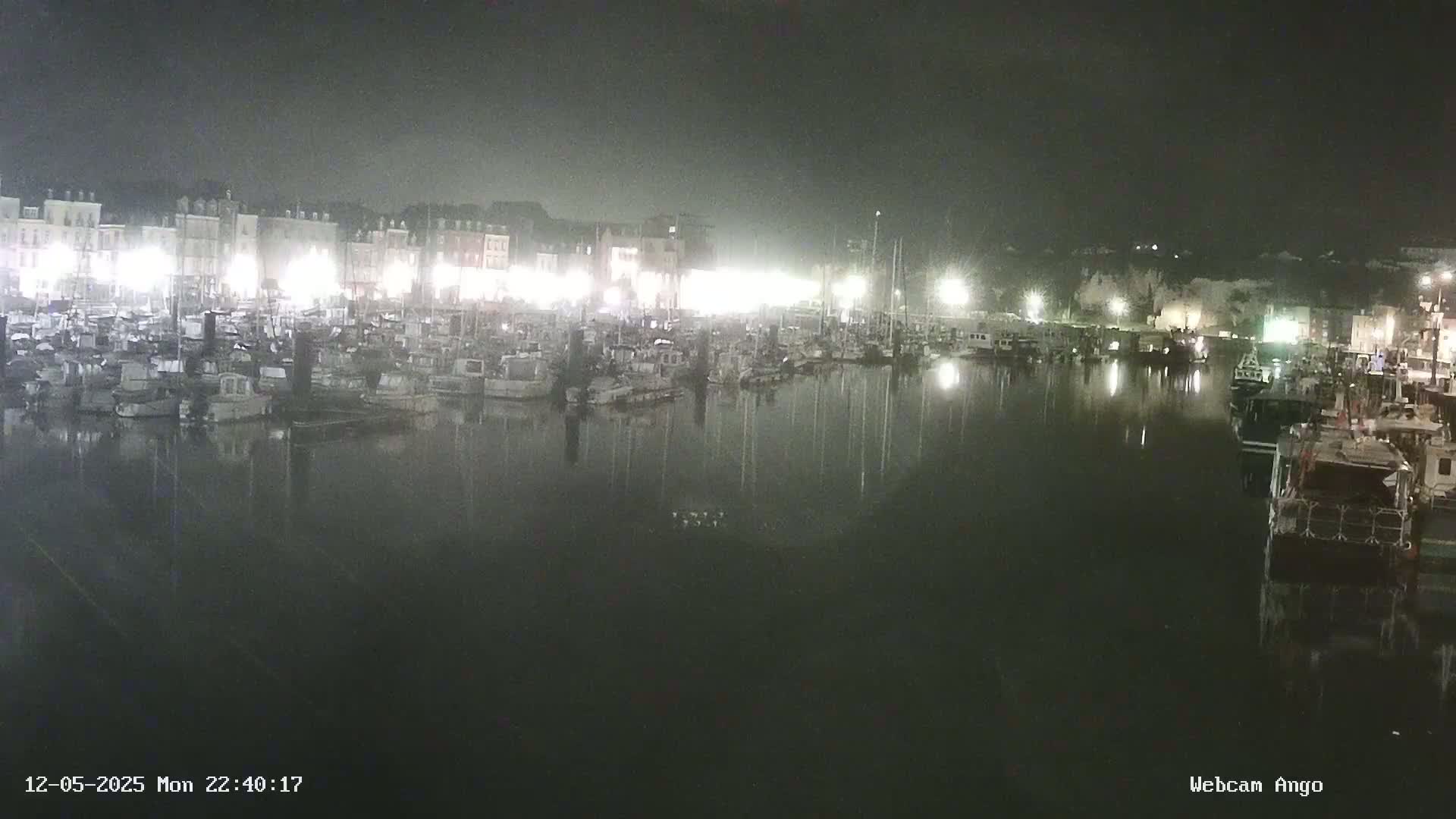 A nighttime harbor filled with numerous boats is illuminated by lights from buildings lining the shore.