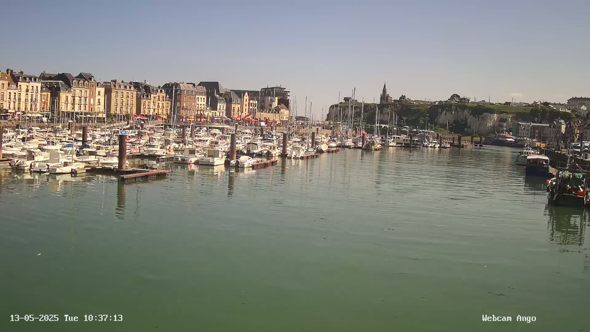 A harbor filled with numerous boats is situated in front of a town with buildings lining the waterfront under a clear, sunny sky.