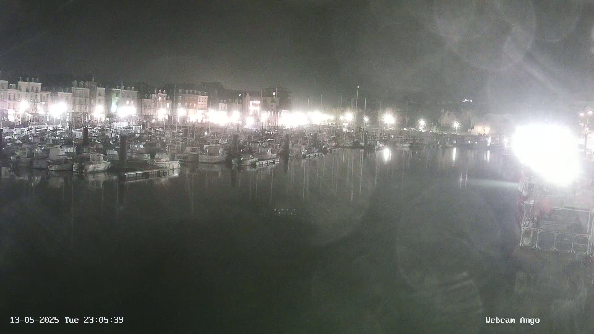 Many boats are moored in a harbor at night, with brightly lit buildings visible in the background.