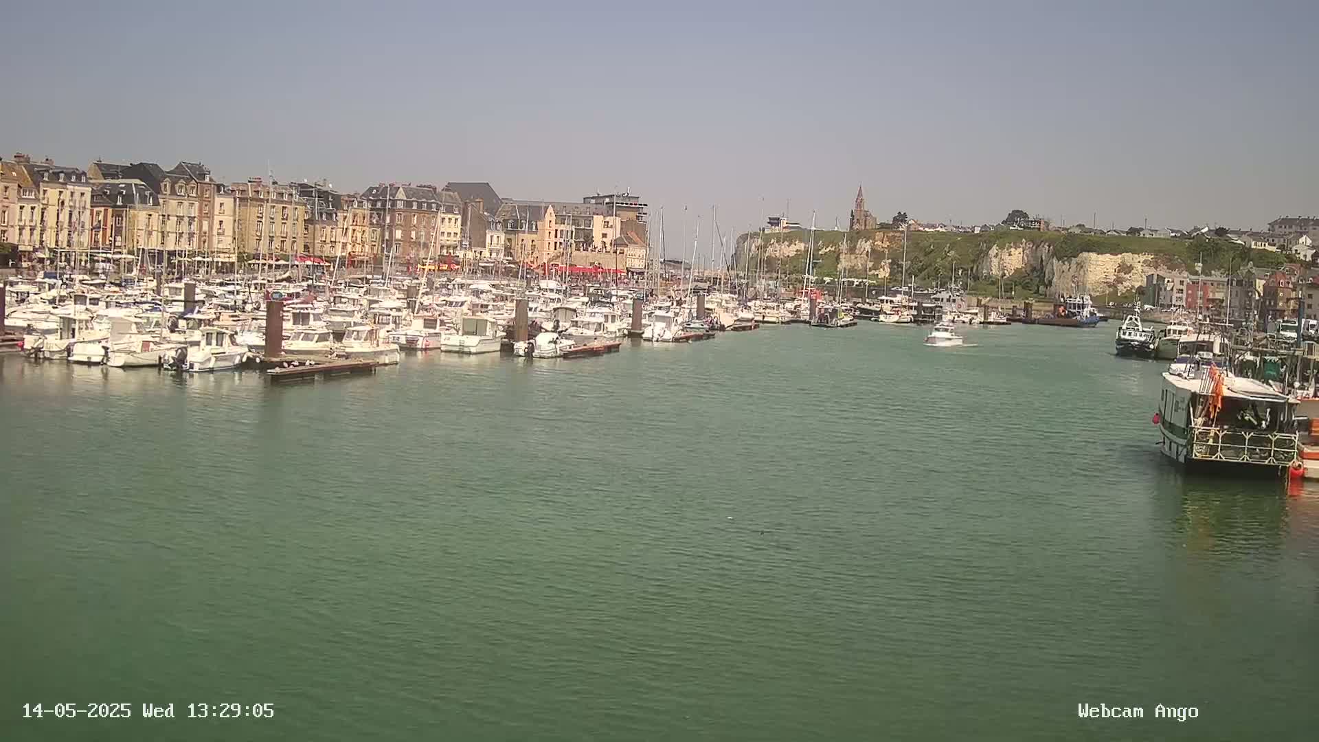 A harbor filled with numerous boats is situated in front of a town with multi-story buildings, under a clear sky.