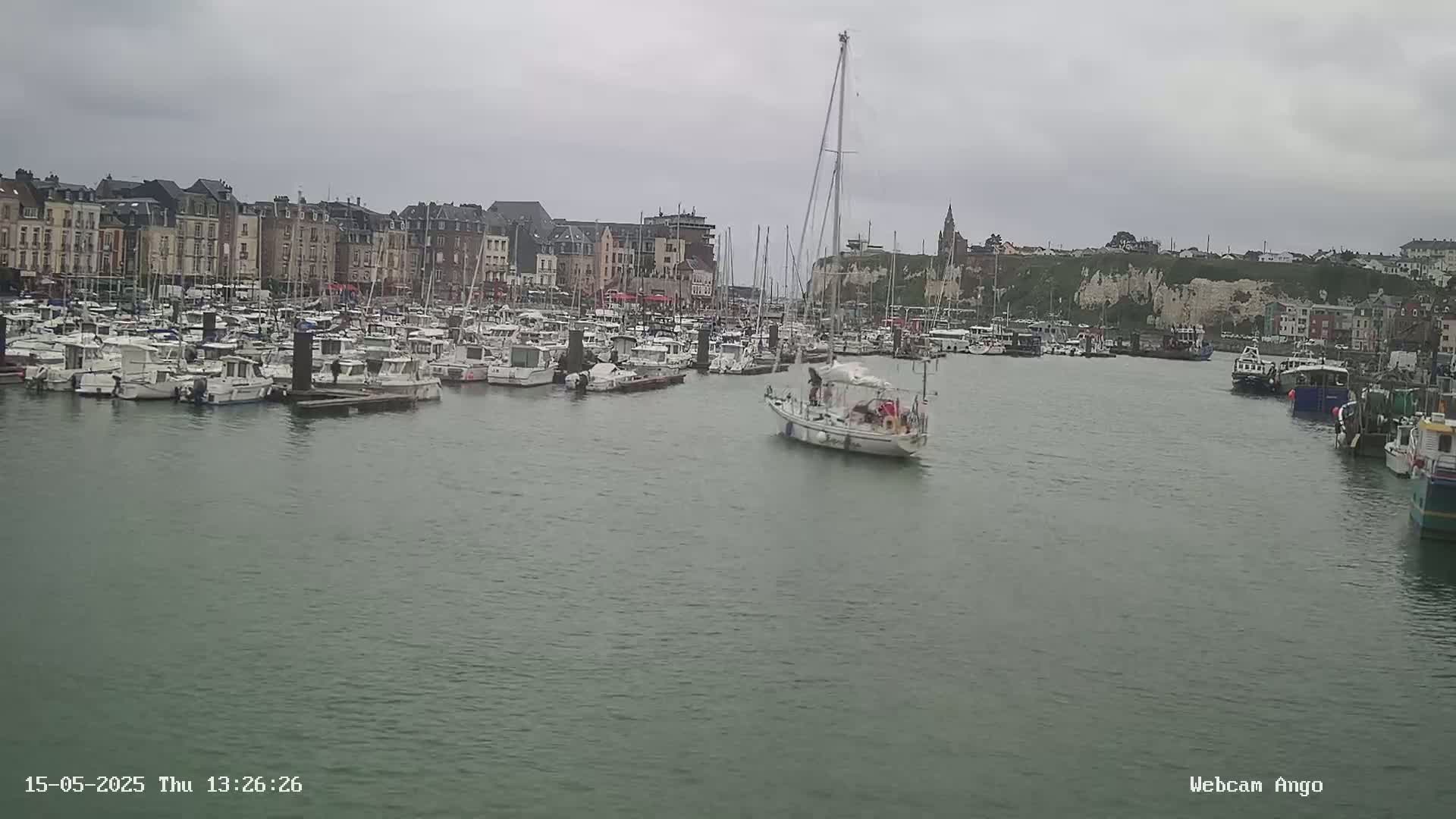 A harbor filled with numerous boats under an overcast sky, with a town and cliffs in the background.
