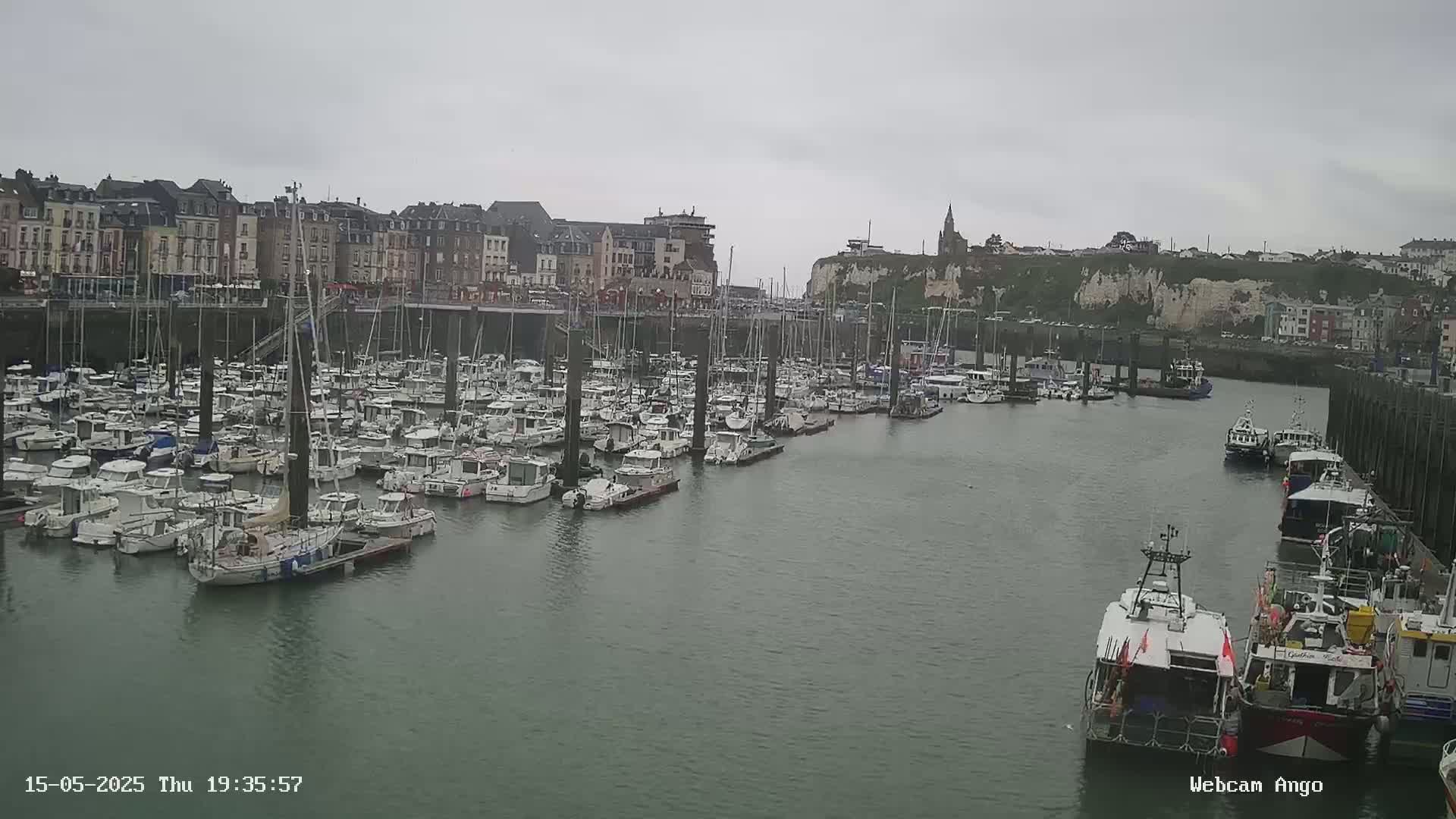 A harbor filled with numerous boats and yachts is situated in front of a town under an overcast sky.