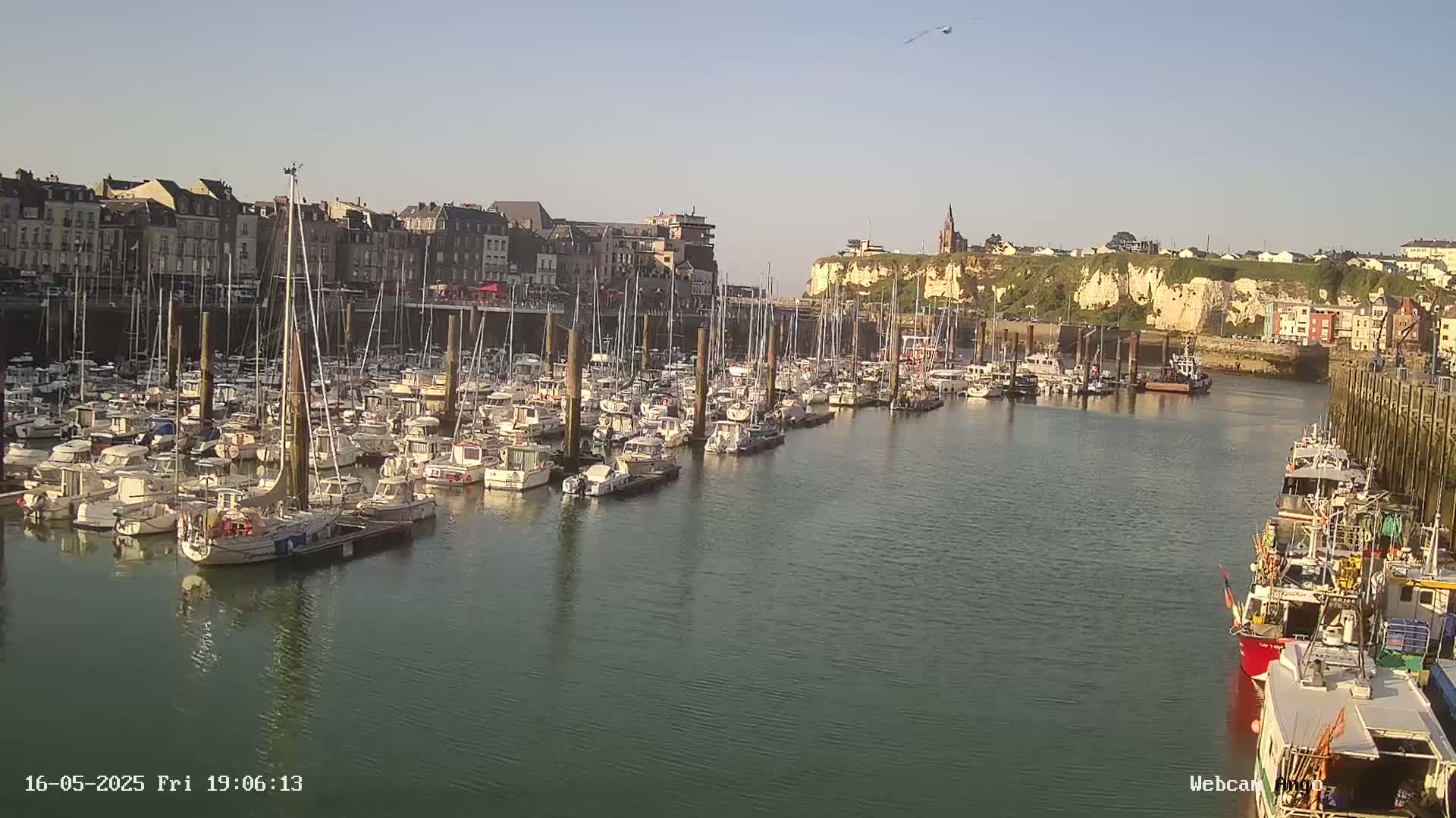 A calm harbor filled with numerous boats is situated in front of a town built along a cliff face under a clear sky.