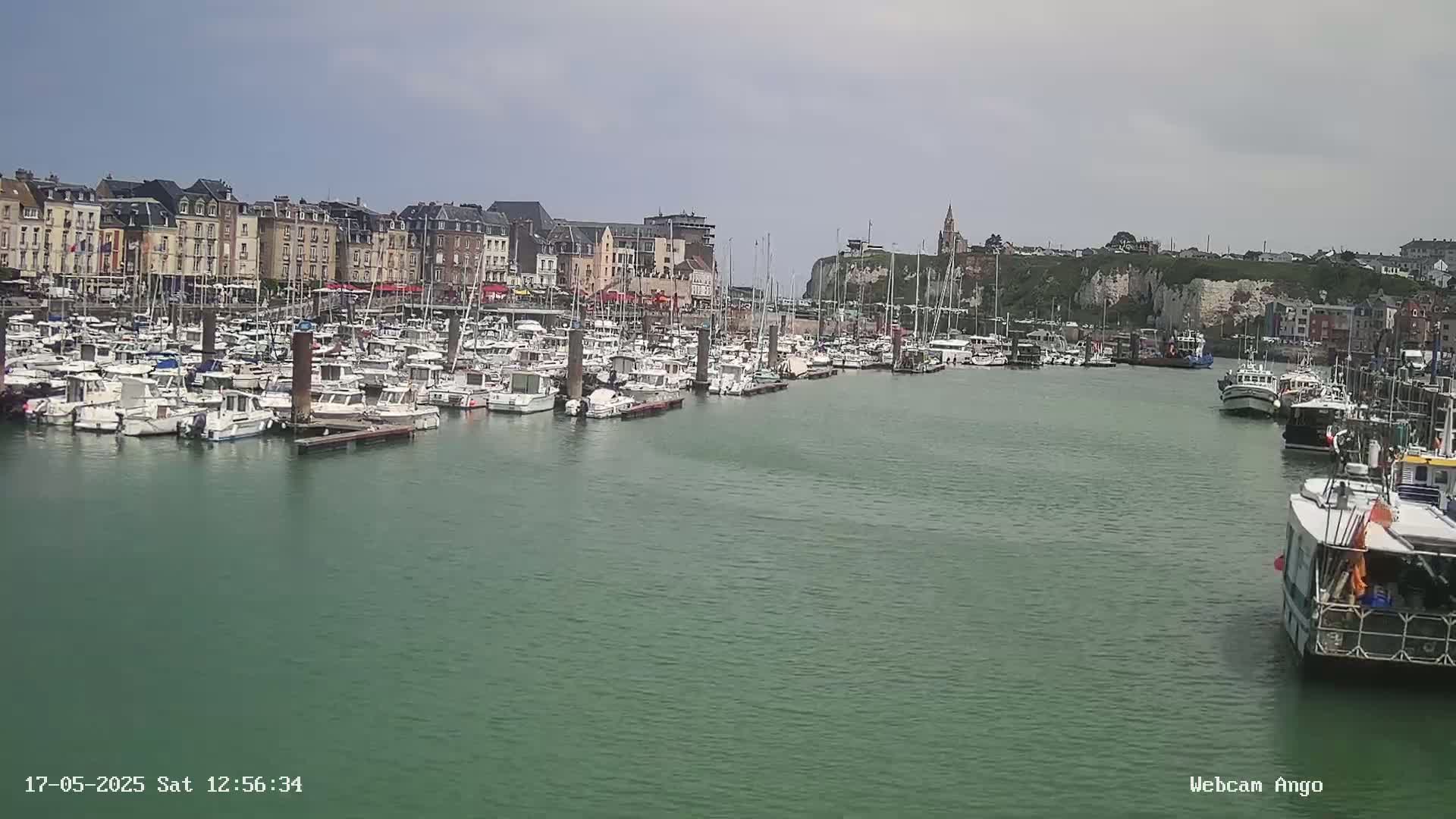 A harbor filled with numerous boats is situated in front of a town of multi-storied buildings under a mostly clear sky.