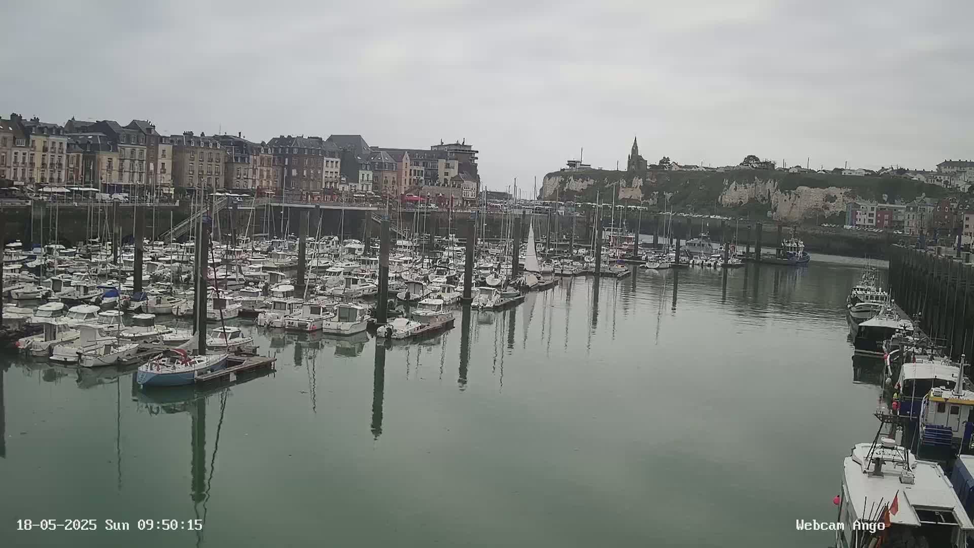 A harbor filled with numerous boats and yachts is situated in front of a town under an overcast sky.