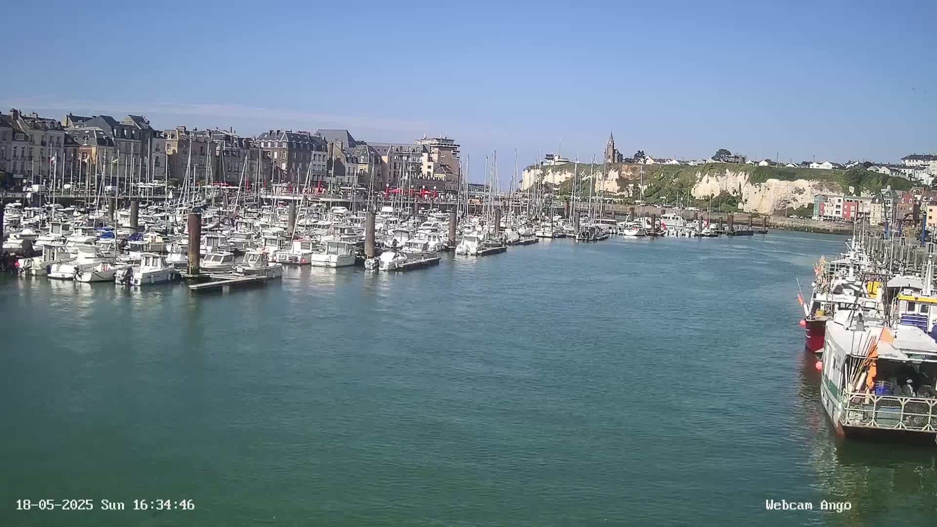 A harbor filled with numerous boats is situated in front of a town, under a clear sunny sky.