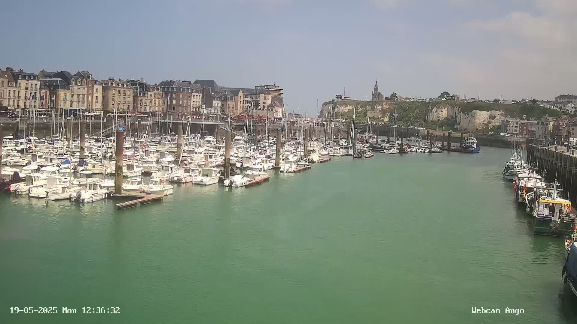 A harbor filled with numerous docked boats is situated in front of a town with multi-story buildings under a clear sky.