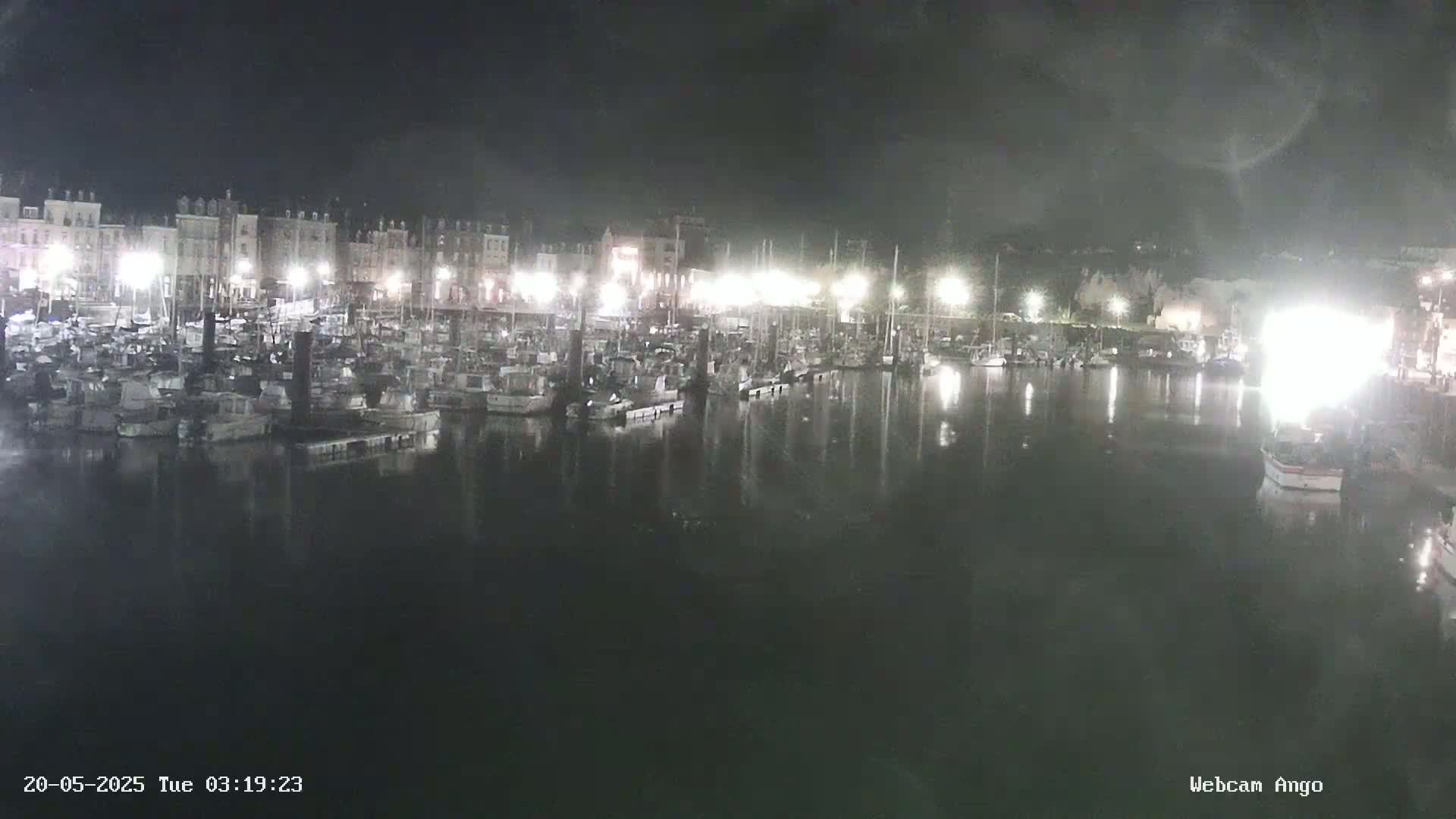 A nighttime view of a harbor filled with numerous boats, docked alongside a waterfront lined with buildings.