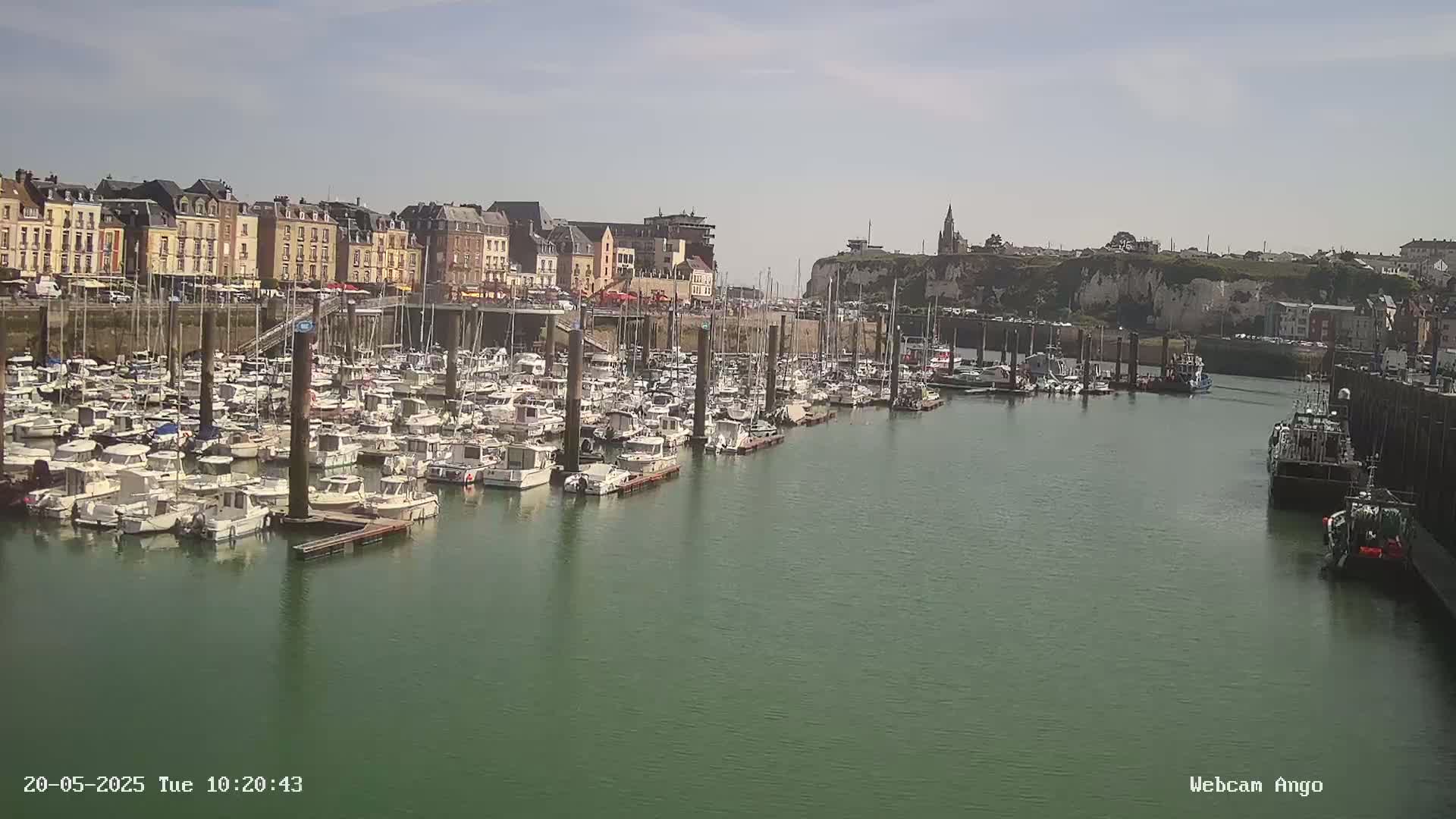 A marina filled with numerous boats is situated in front of a town with buildings lining the waterfront under a sunny sky.