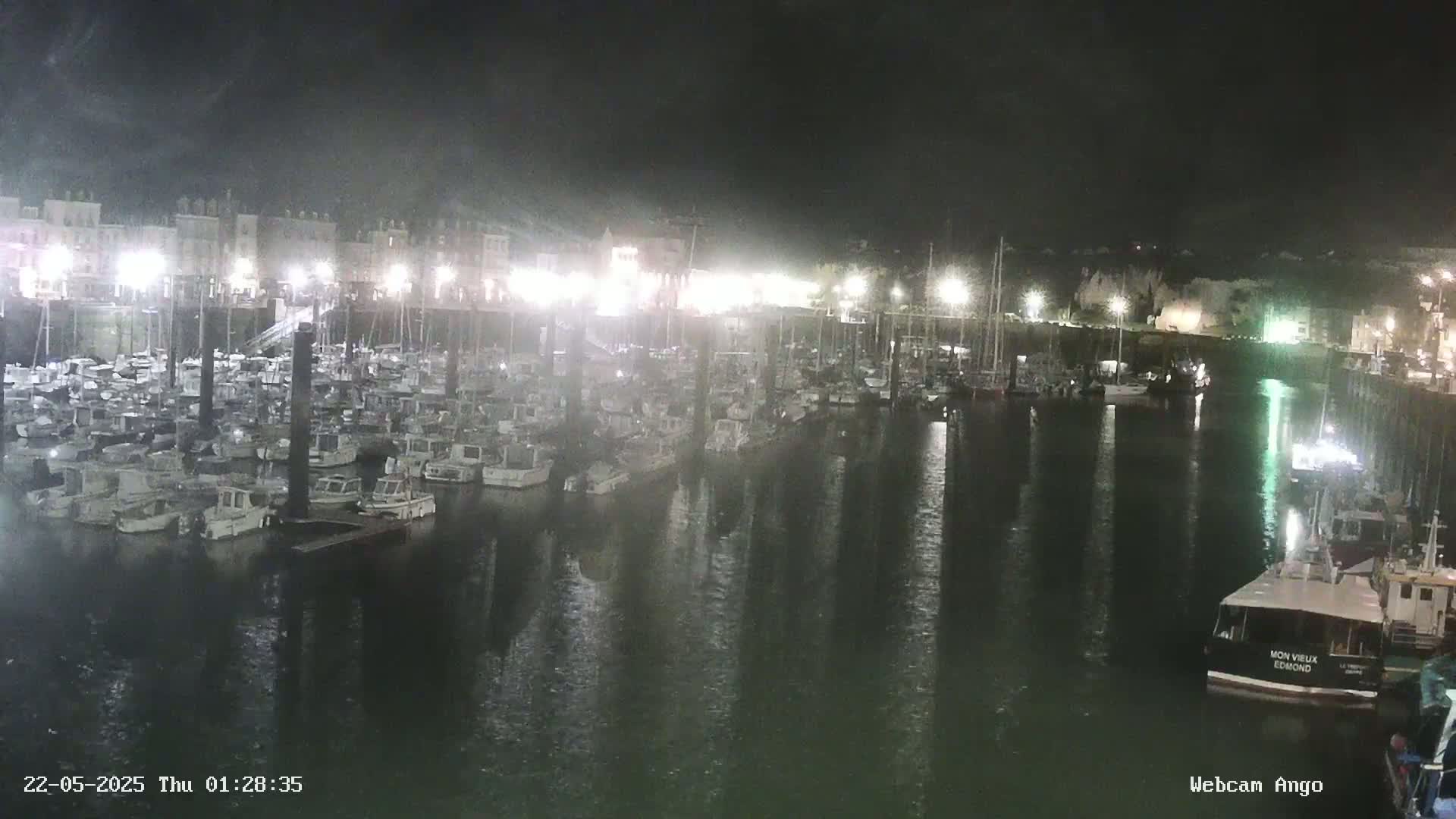Many boats are docked at a marina at night under cloudy conditions.