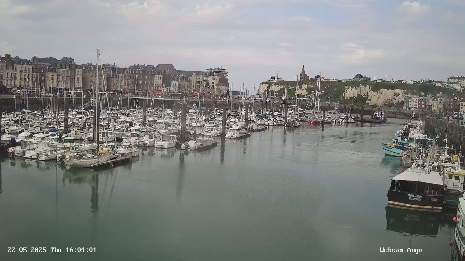 A harbor filled with numerous boats and yachts is situated in front of a town under a partly cloudy sky.