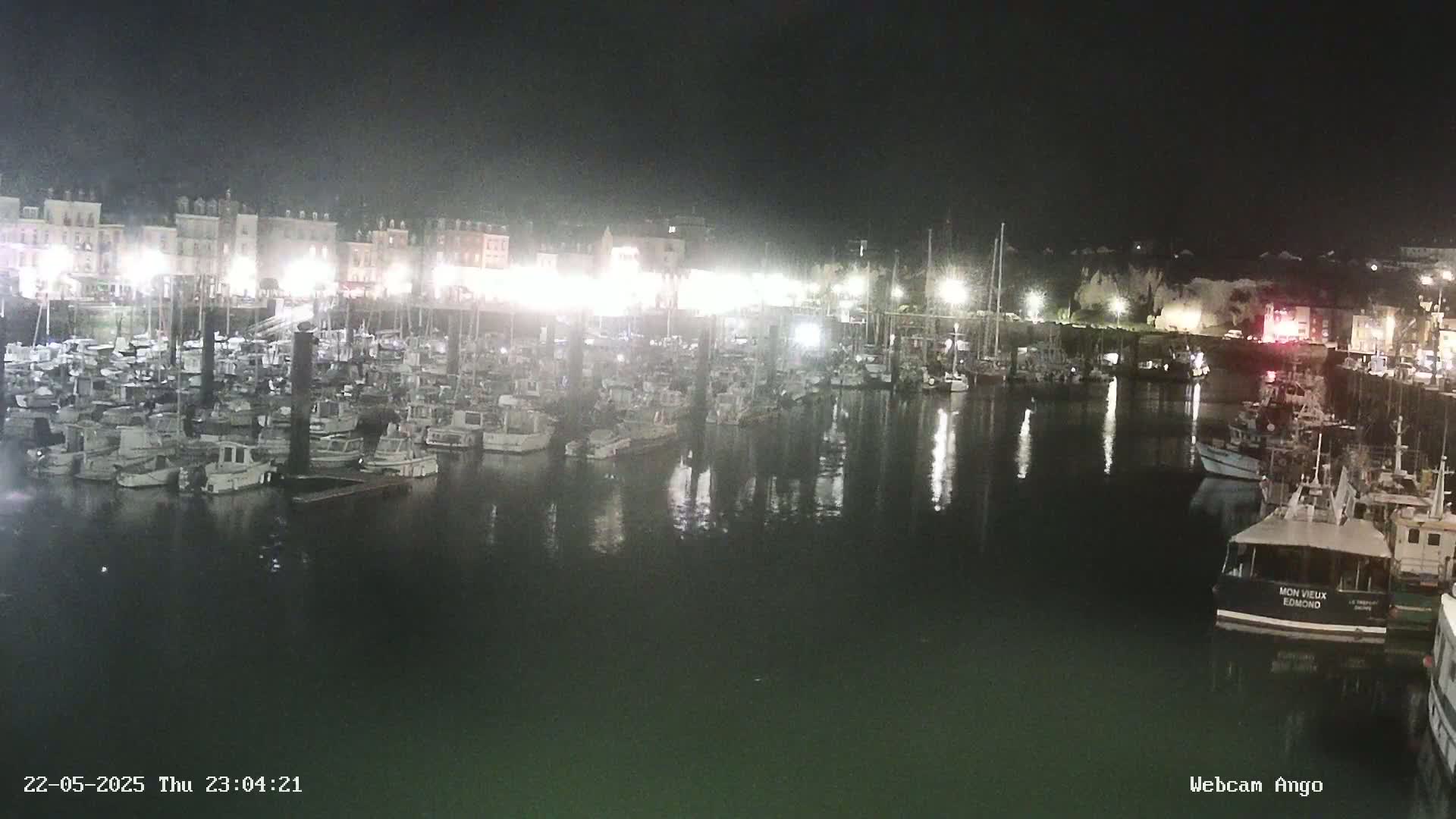 A nighttime view of a harbor filled with numerous boats docked along a waterfront lined with buildings, under a dark sky.