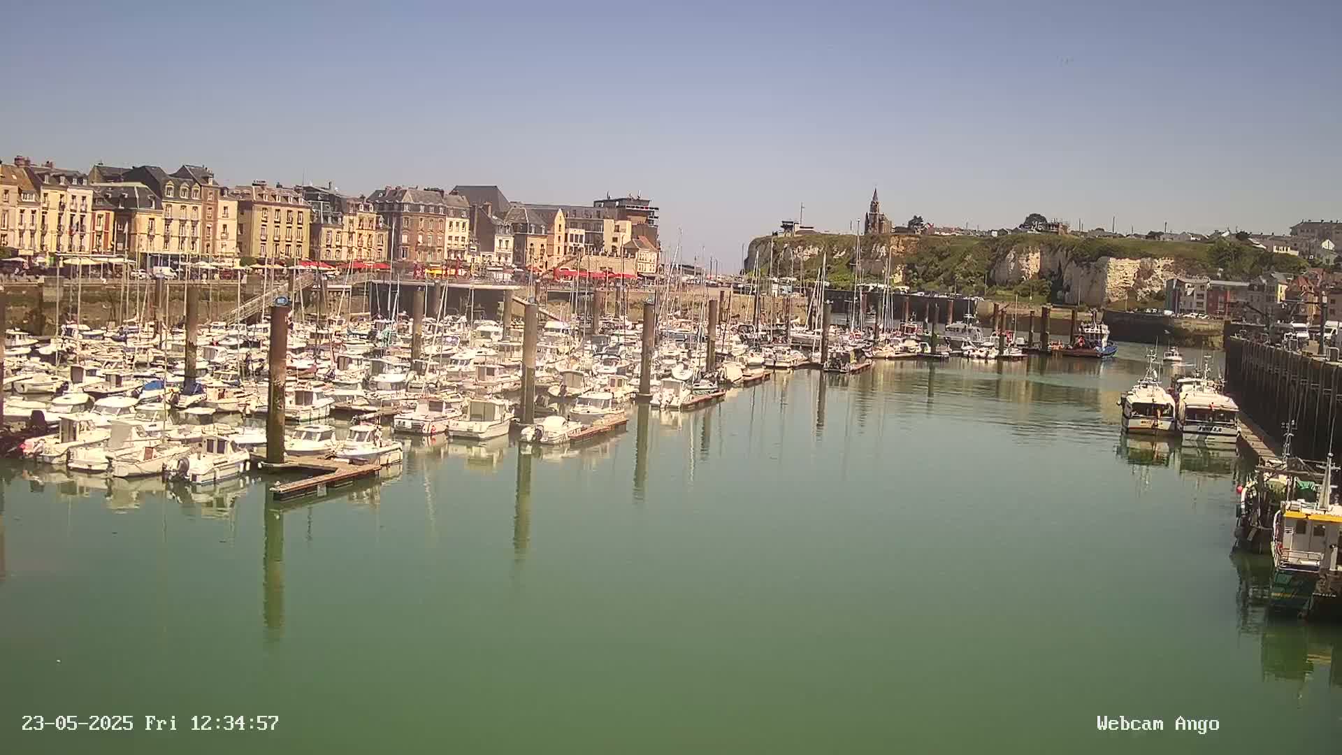 A marina filled with numerous boats is situated in front of a town of multi-story buildings under a clear, sunny sky.