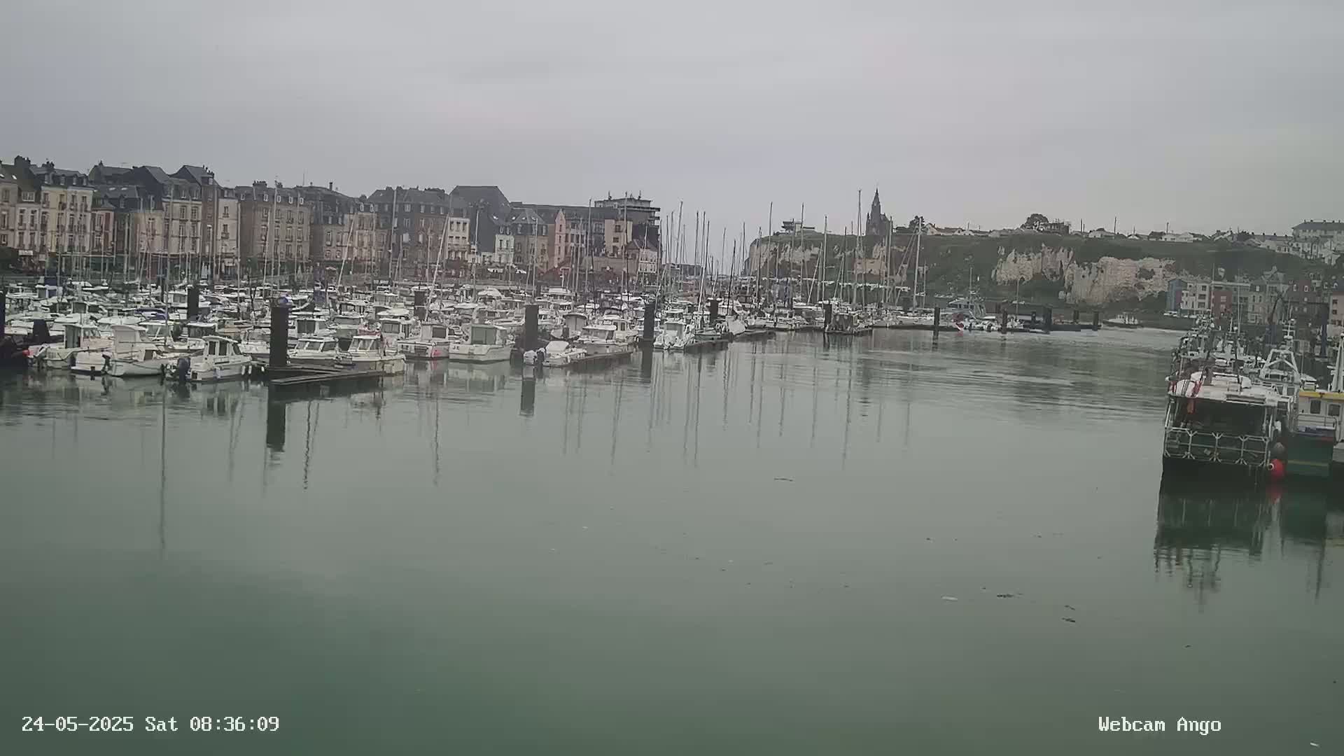 A harbor filled with many boats is seen on an overcast day, with buildings and cliffs visible in the background.