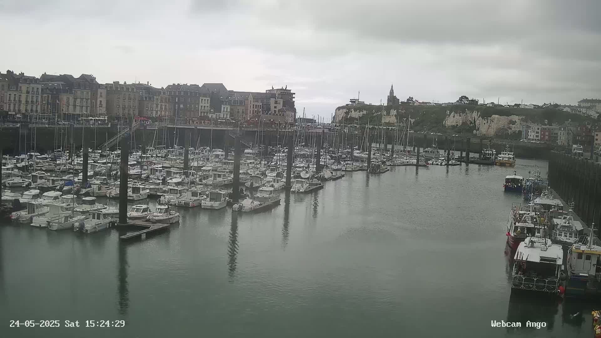A harbor filled with numerous boats is situated below a town of buildings under an overcast sky.