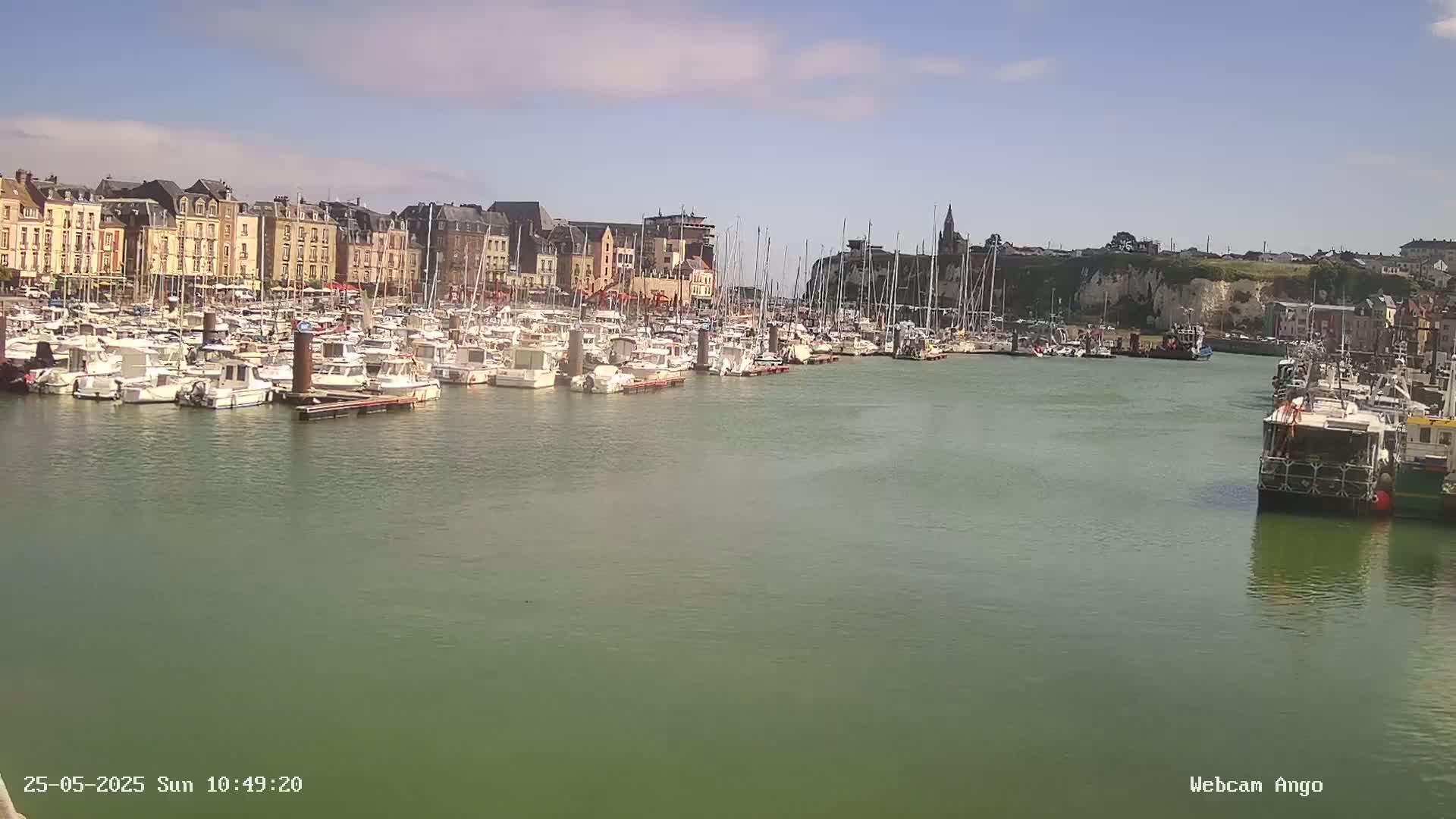 A harbor filled with numerous boats is situated in front of a town of multi-story buildings under a clear, sunny sky.