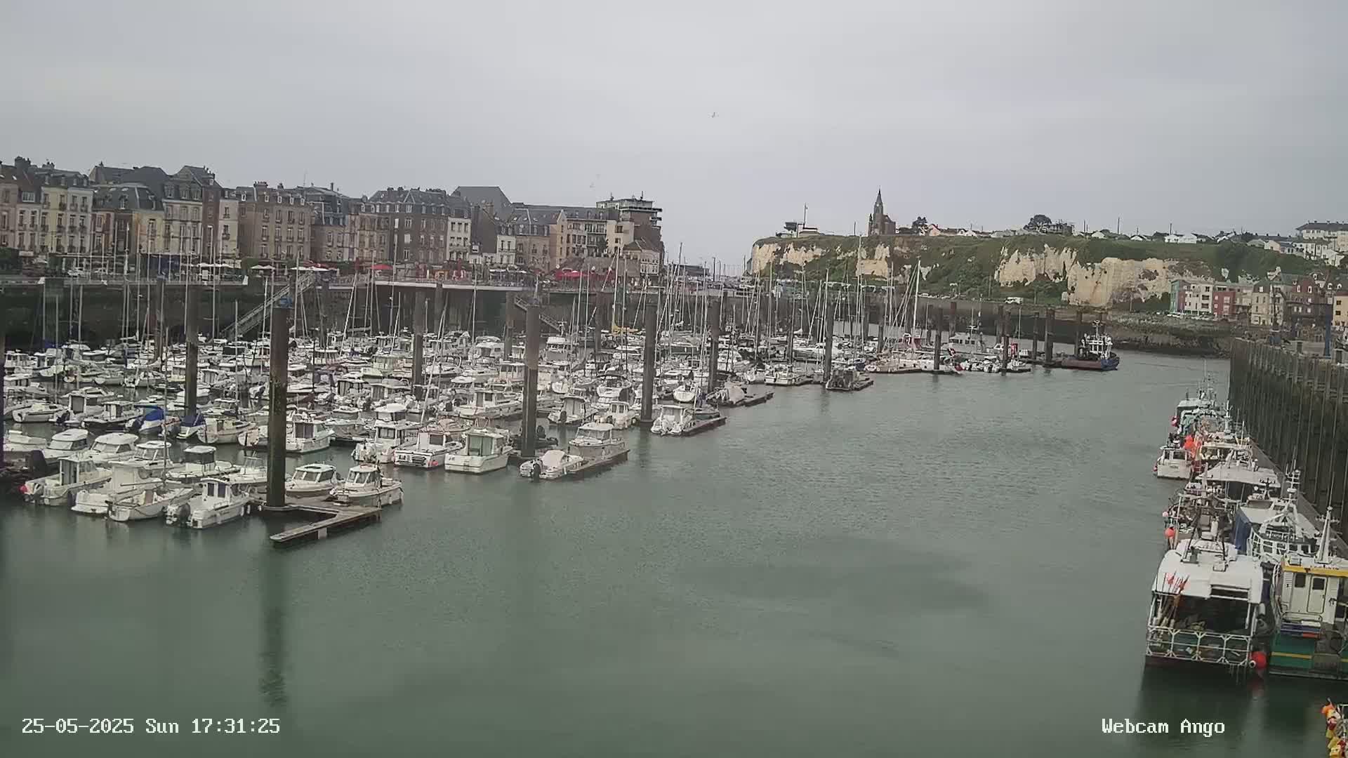 A harbor filled with numerous docked boats is situated in front of a town with multi-story buildings under an overcast sky.