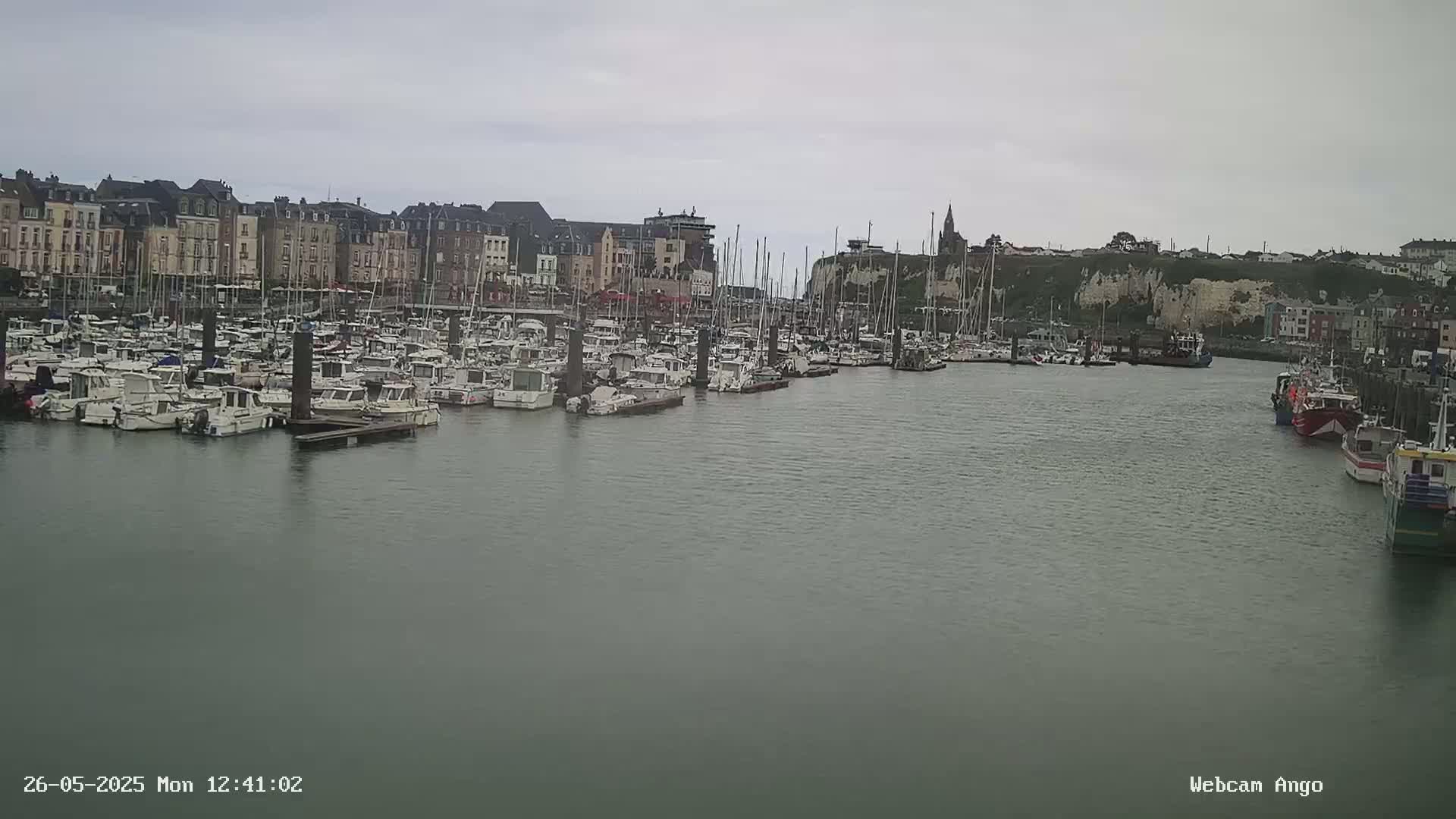 A harbor filled with many boats is situated in front of a town with multi-story buildings under an overcast sky.